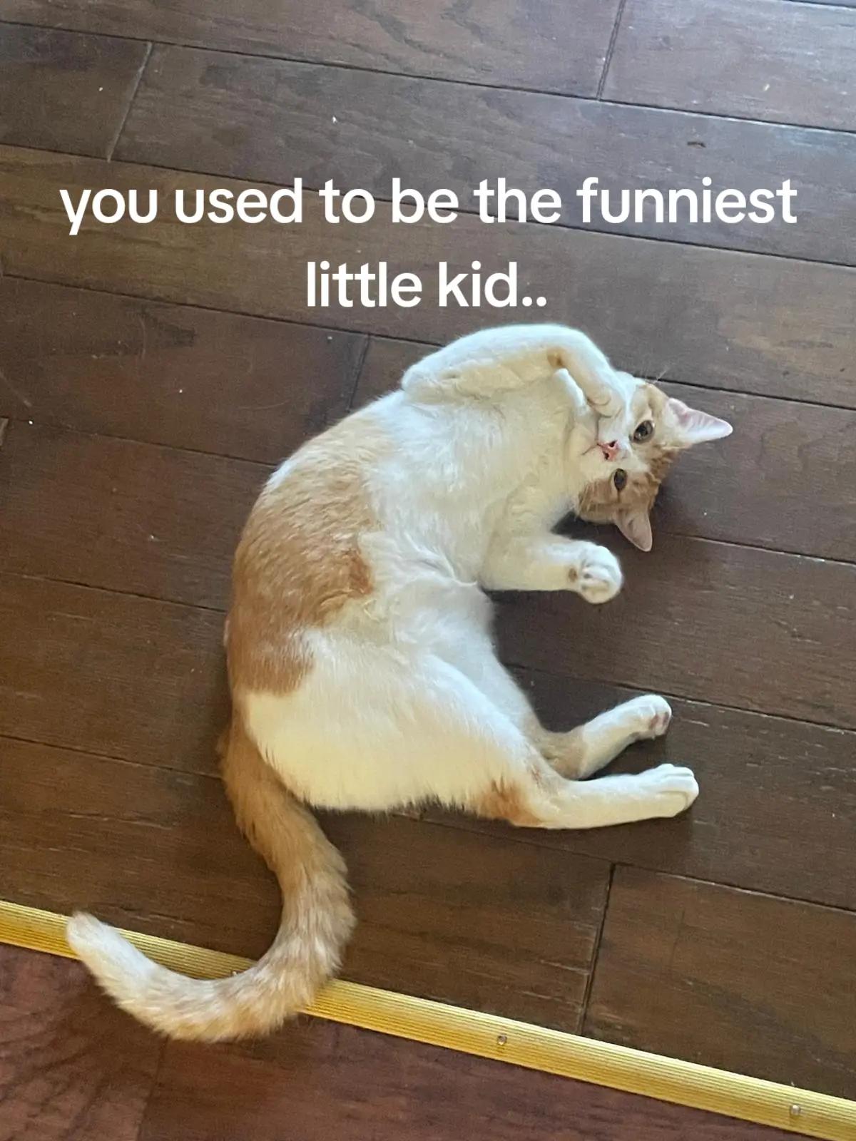@simonsecretspam🤫🤫