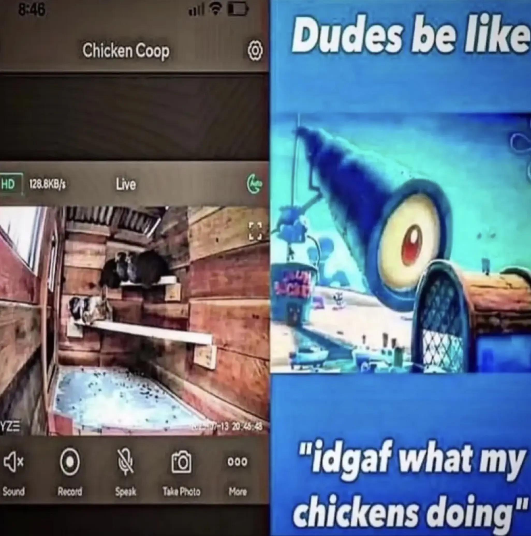 @qhello