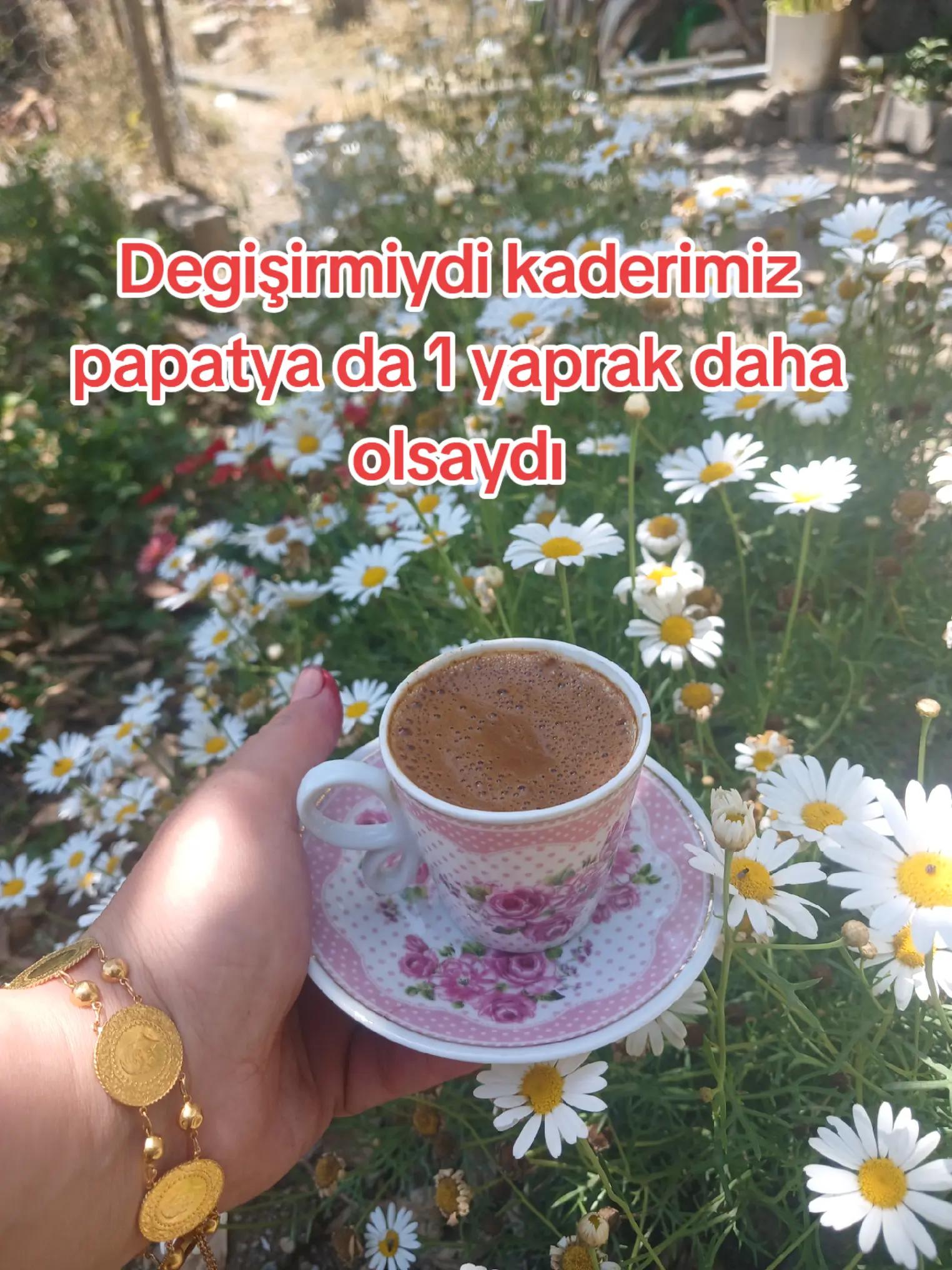 @Meryem ŞİMŞEK