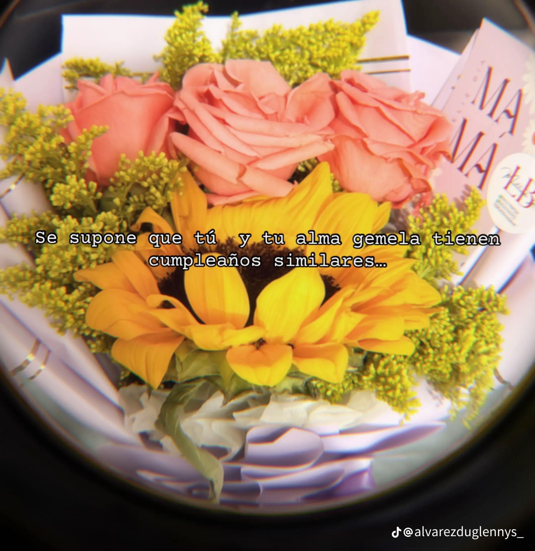 @Andreina🫧🌻🤎🤍