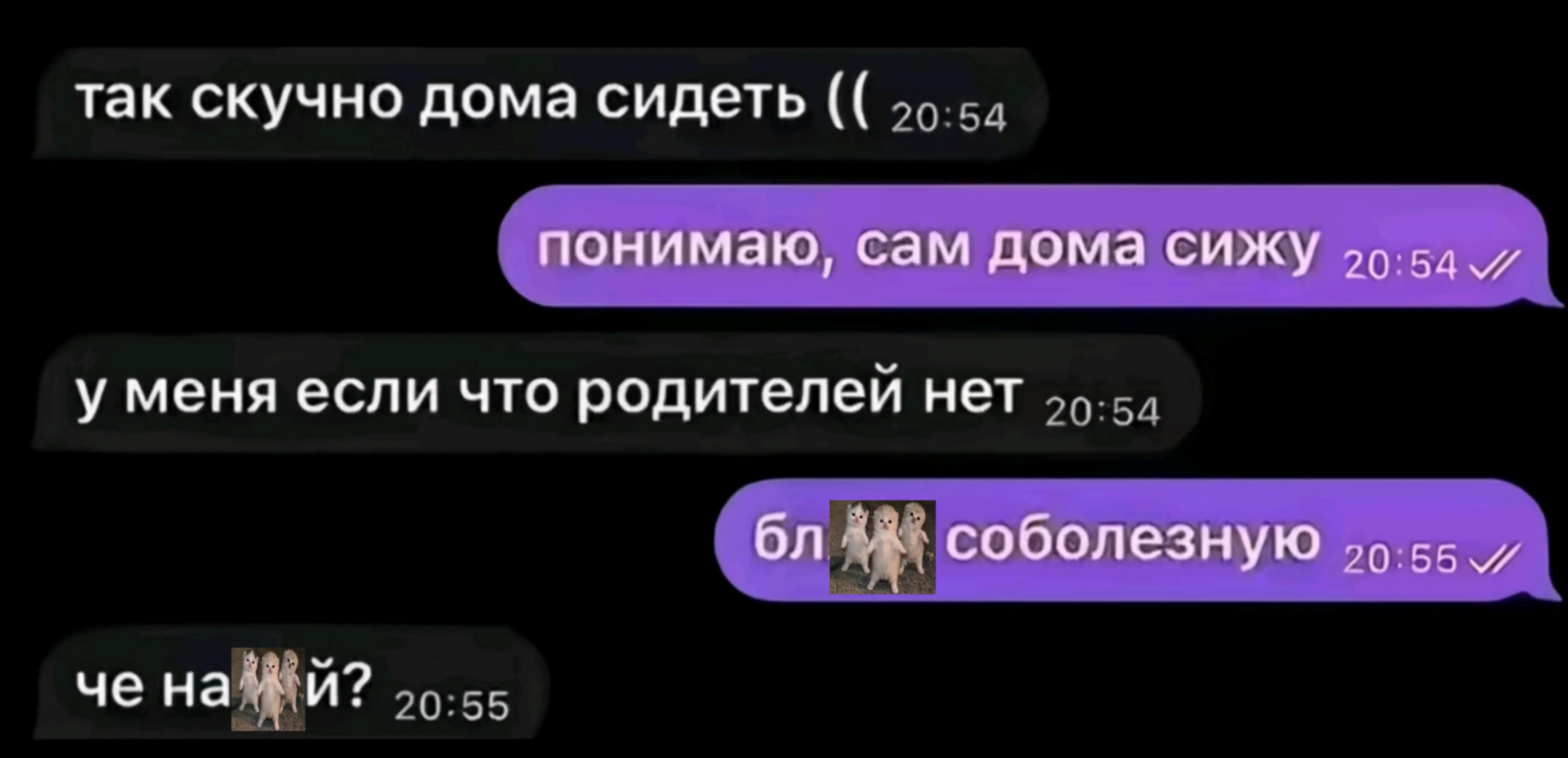 @zhxn!