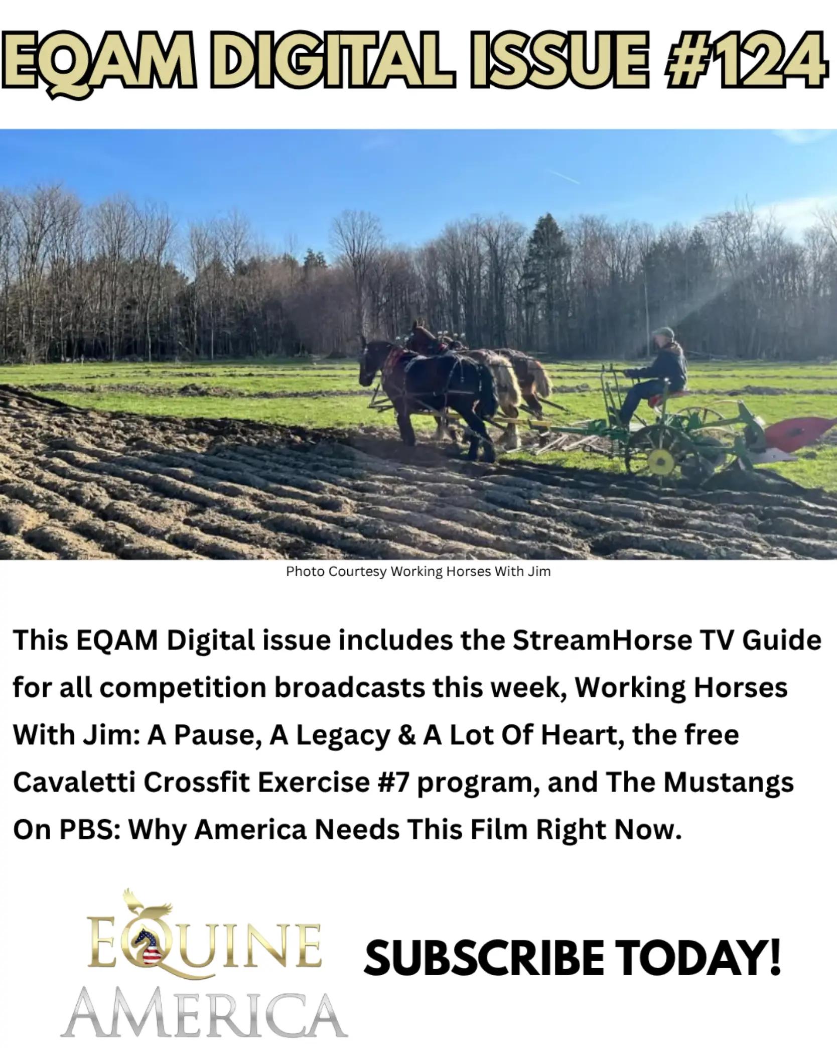 @streamhorse
