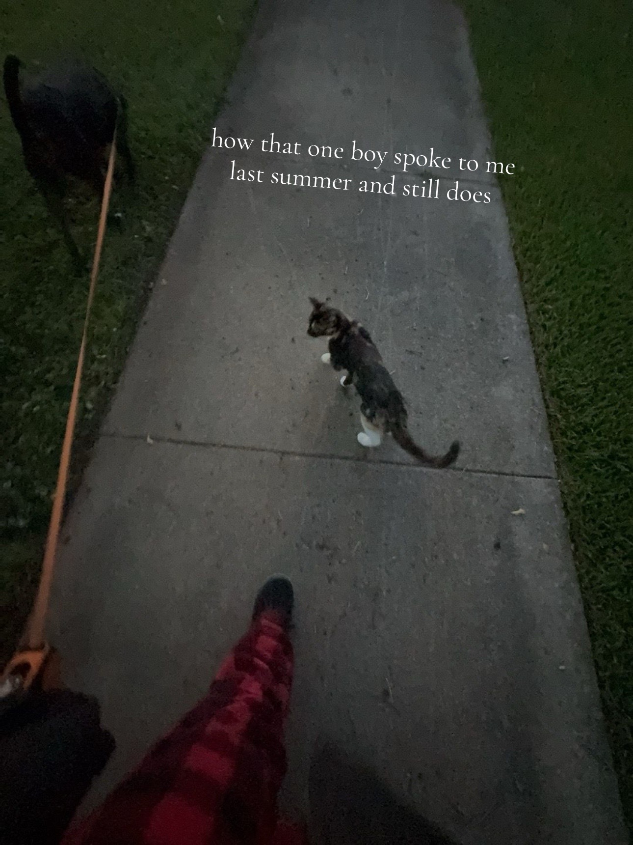 @Mimi