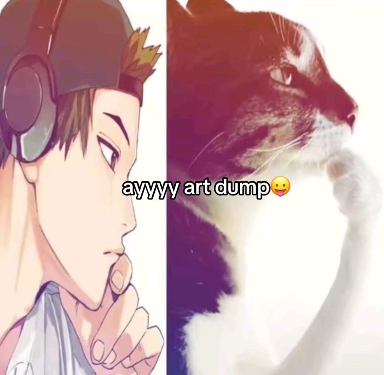 @☆