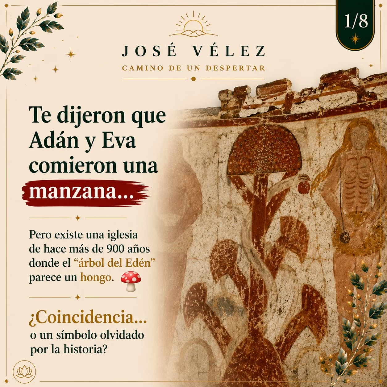 @José Vélez