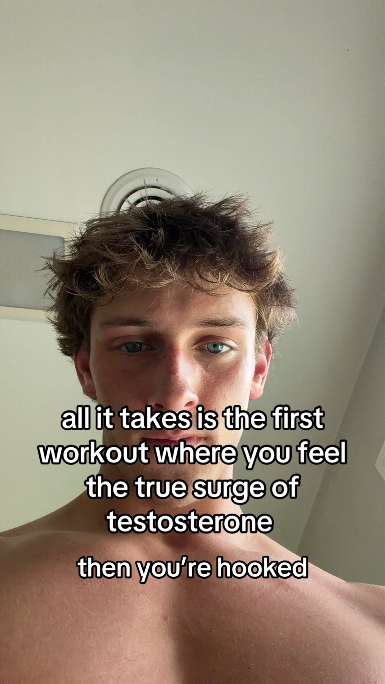 @shulifts