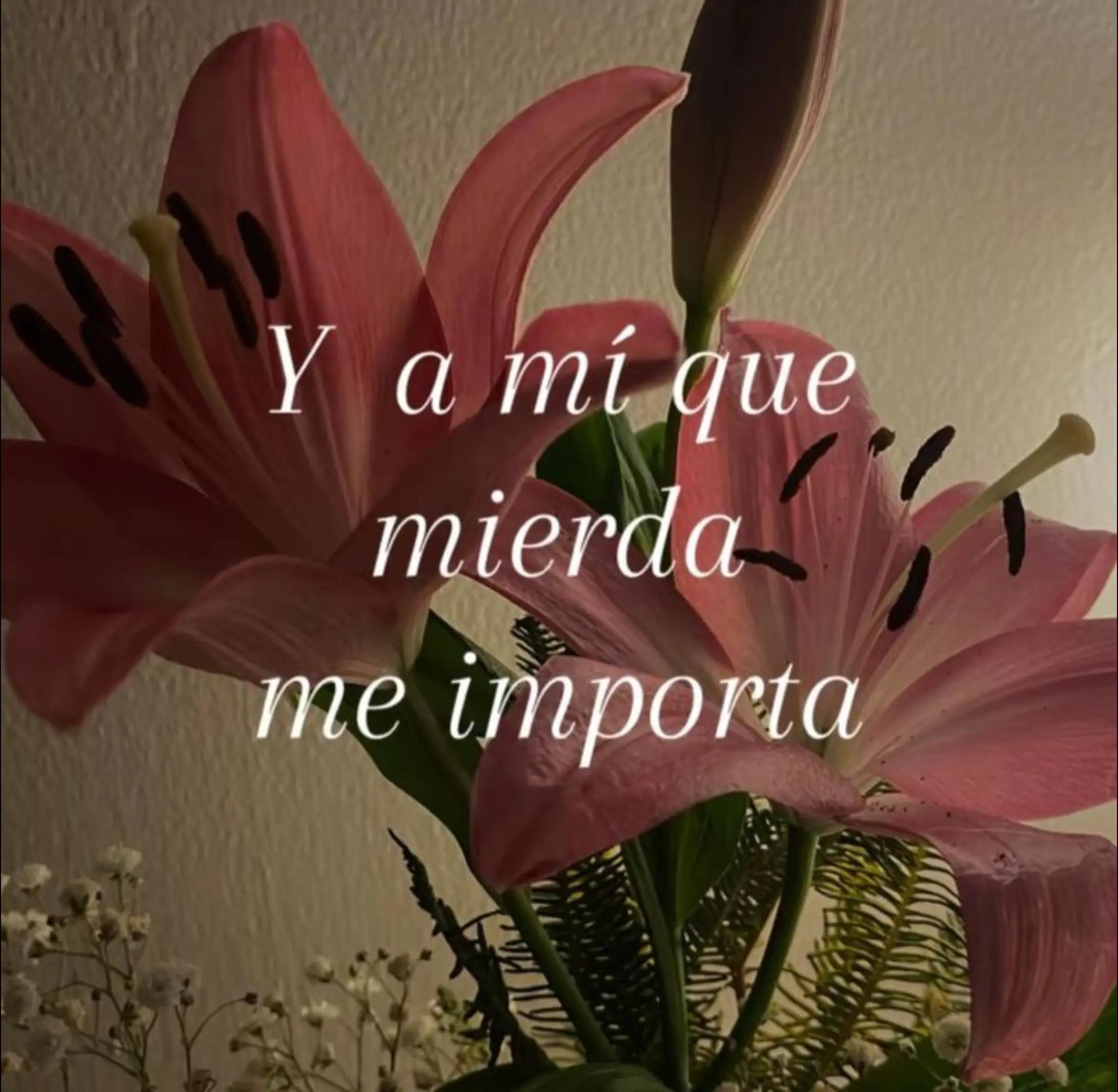 @indirectas