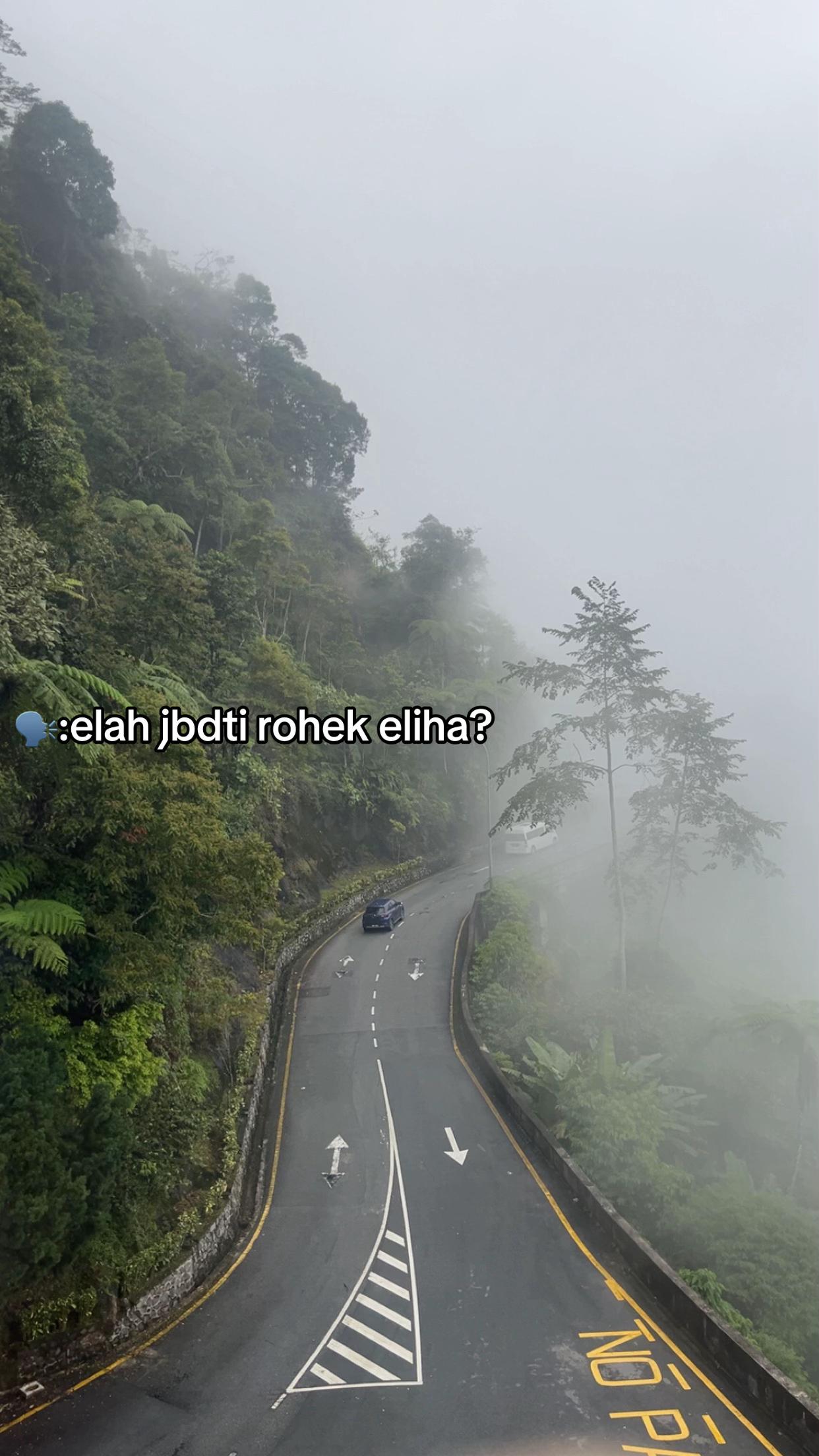 @𝓢𝓪𝓯𝓪 💮