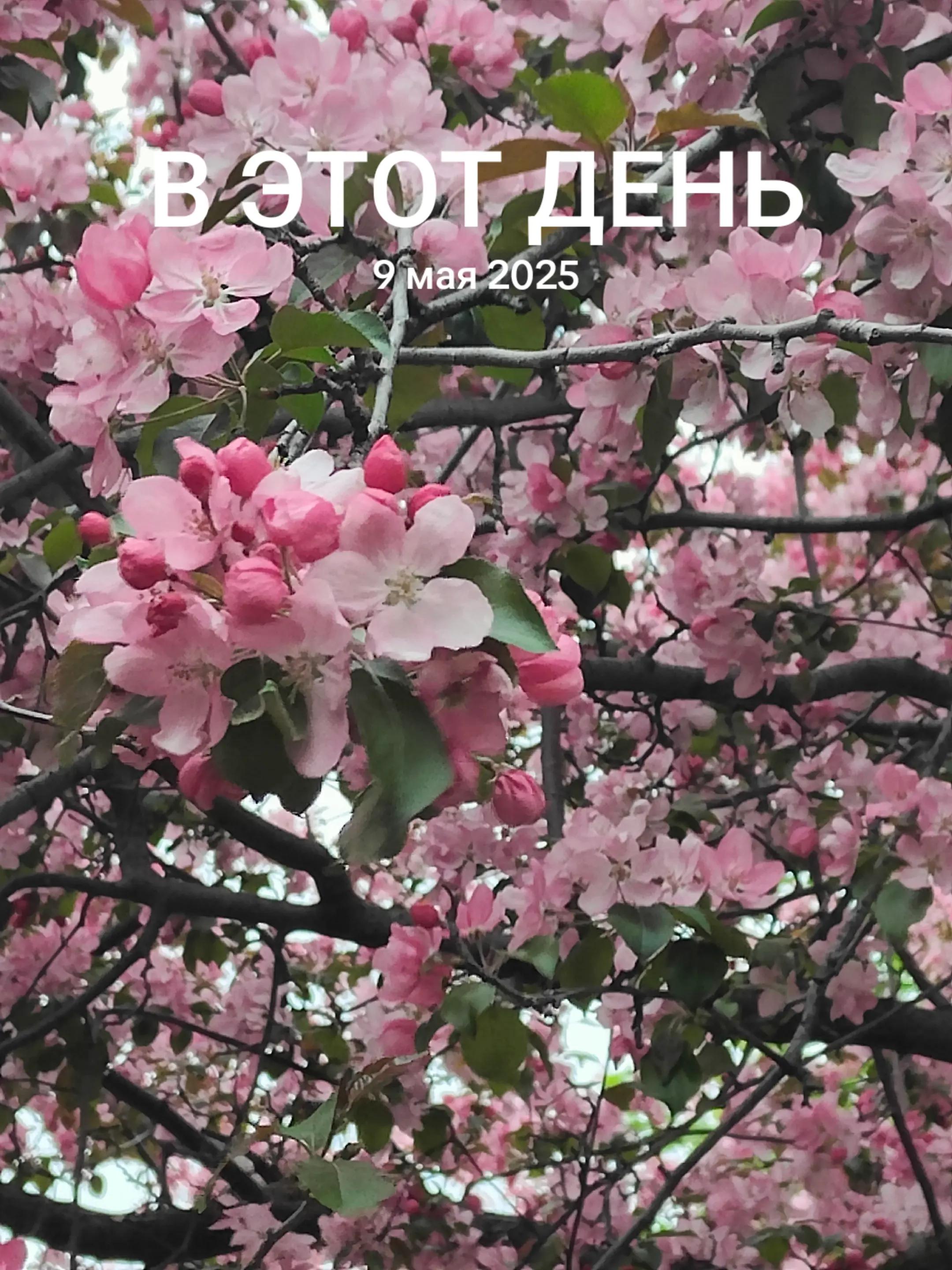 @frikovv #ПМ