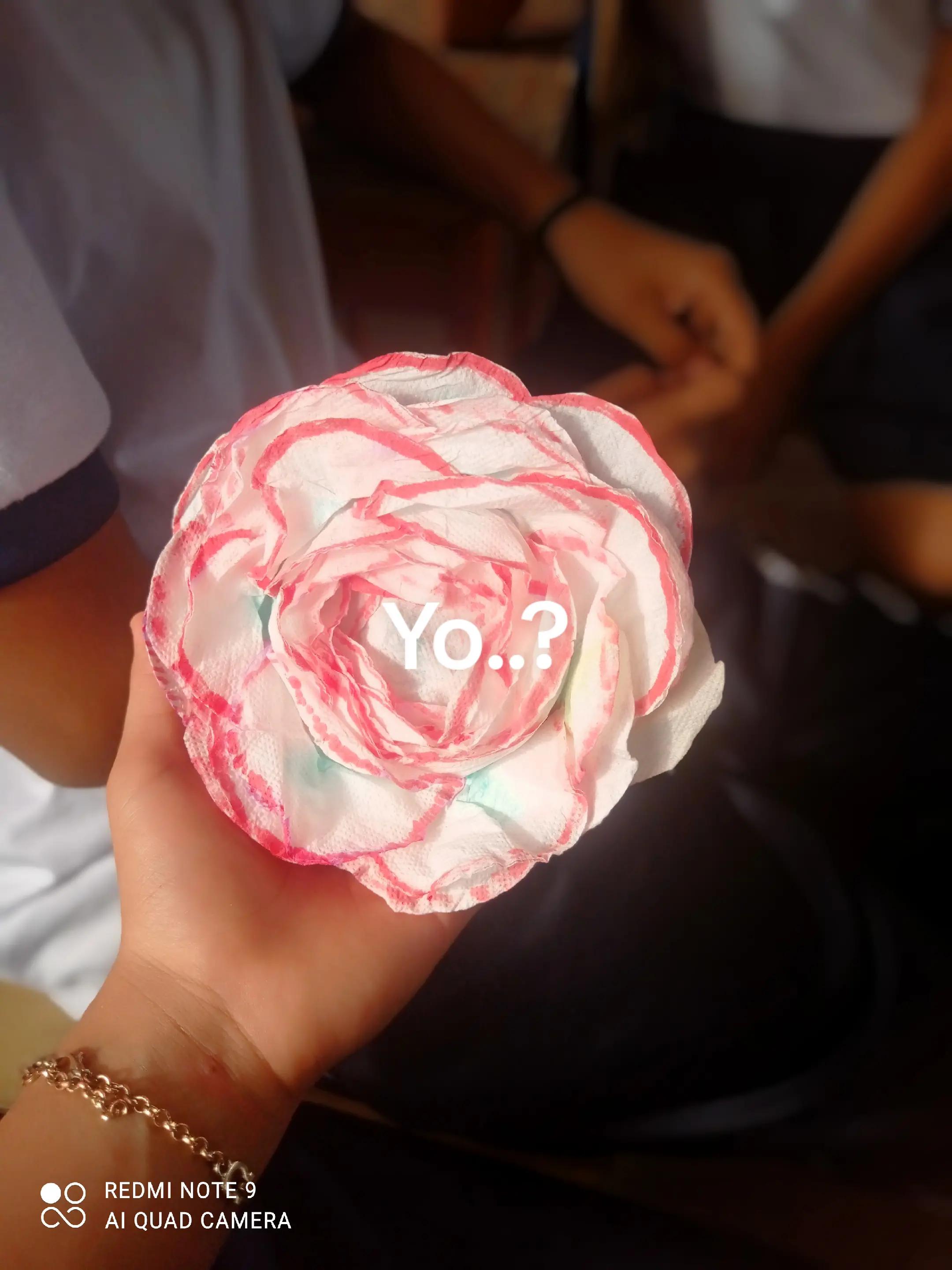 @𓏲*ੈ✩‧₊CRIS :3𓏲*ੈ✩‧₊