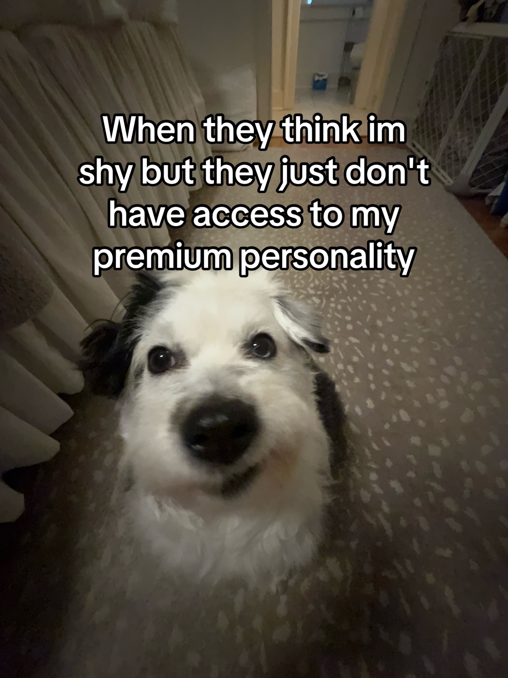 @Lucy Lou