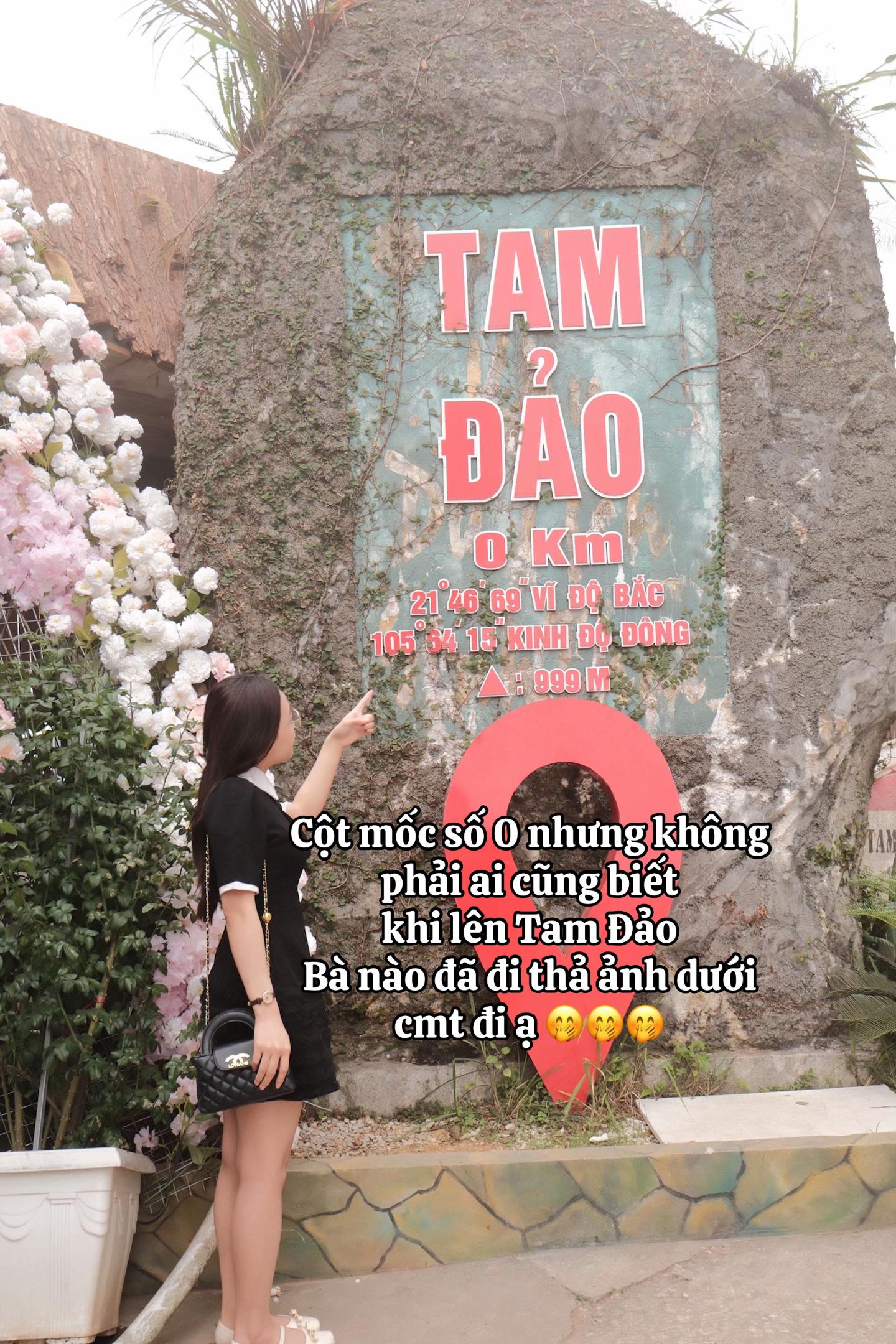 @Cùng Rùa đi Tam Đảo