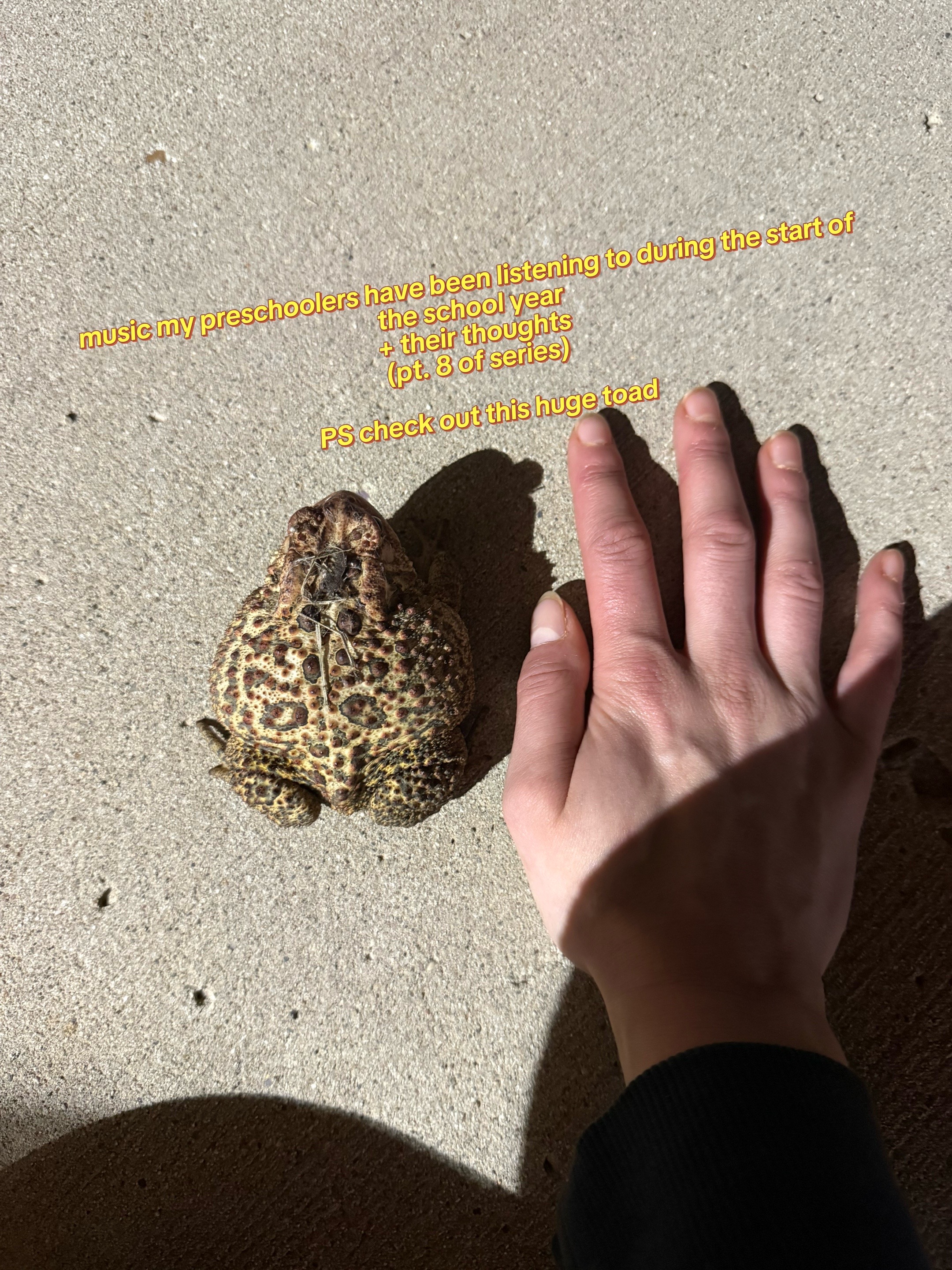 @ceilward