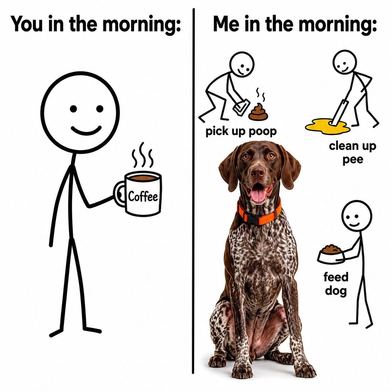 @lovinglifewithpuppies🐾🇨🇦🐾