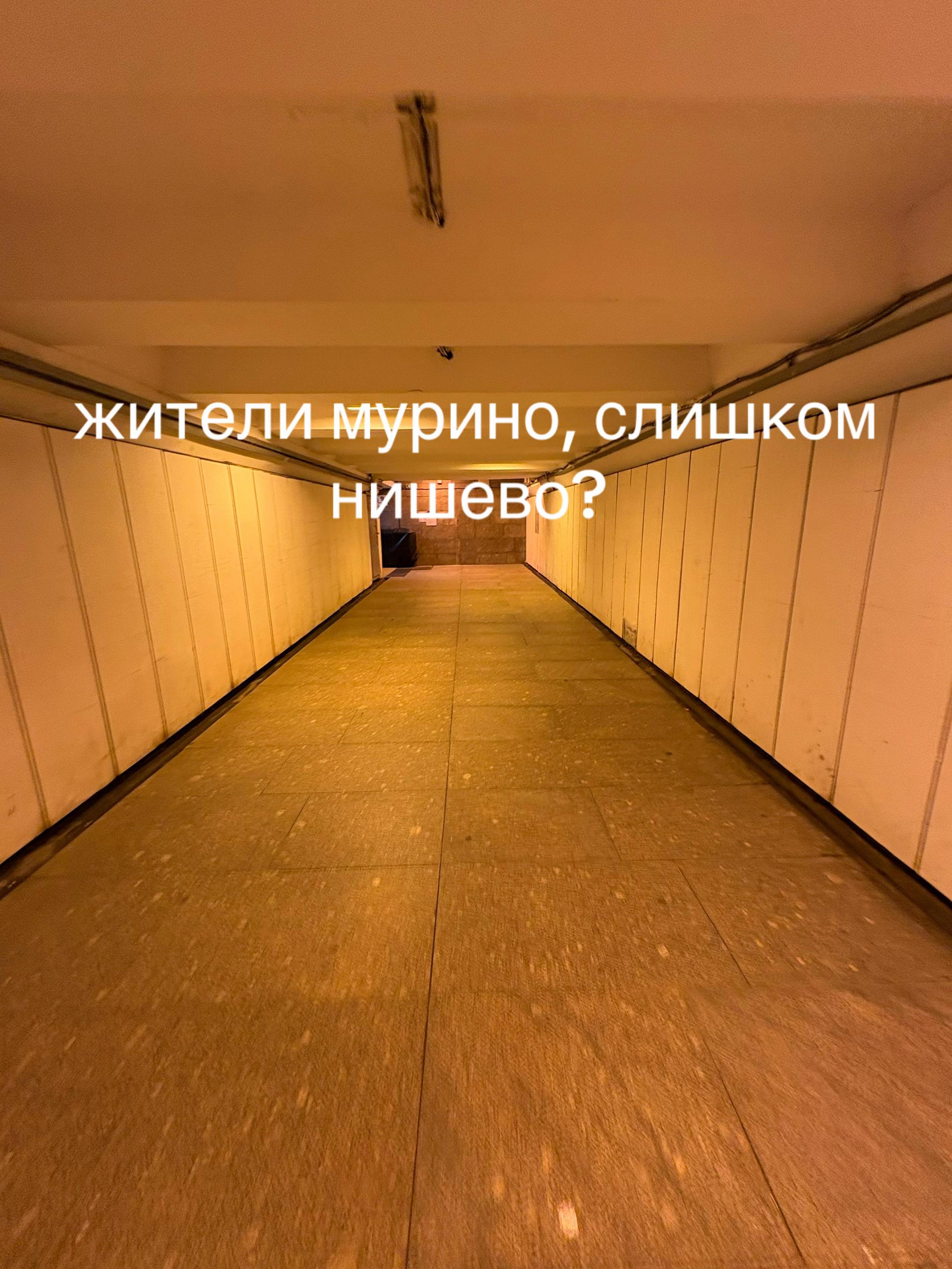 @svirka_q