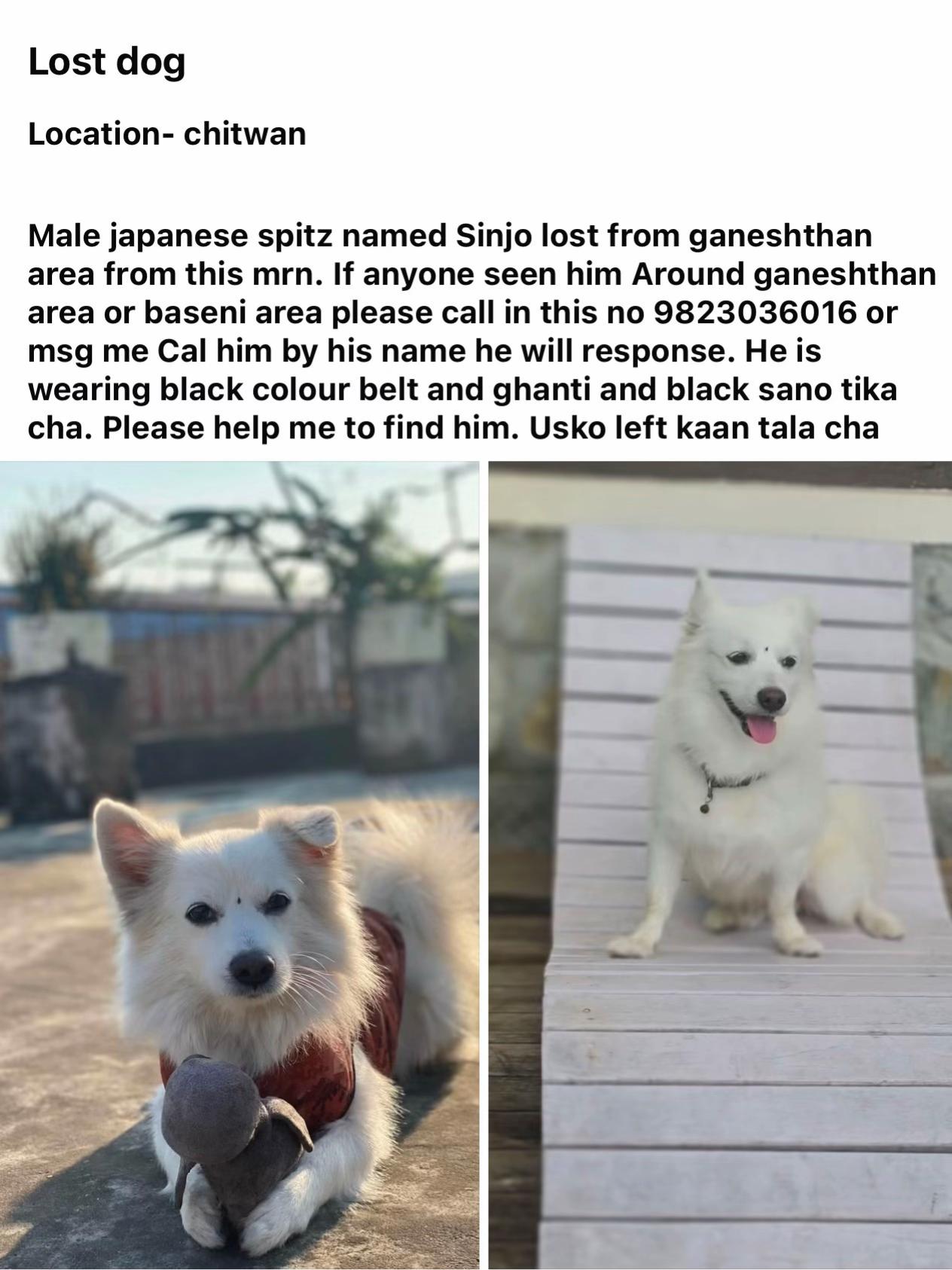 @Anshu shrestha 🐶