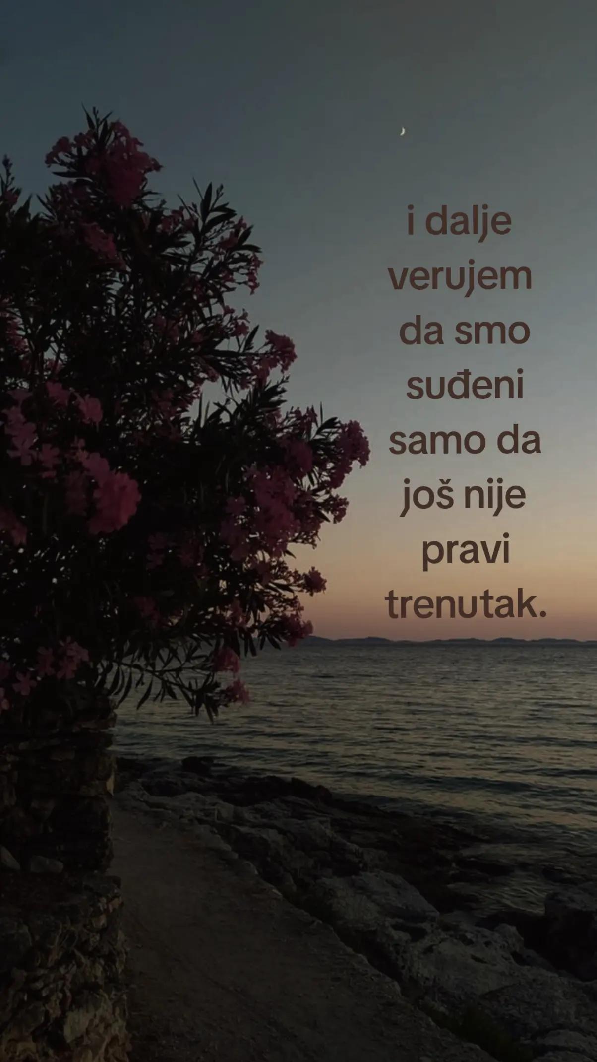 @D U N J A