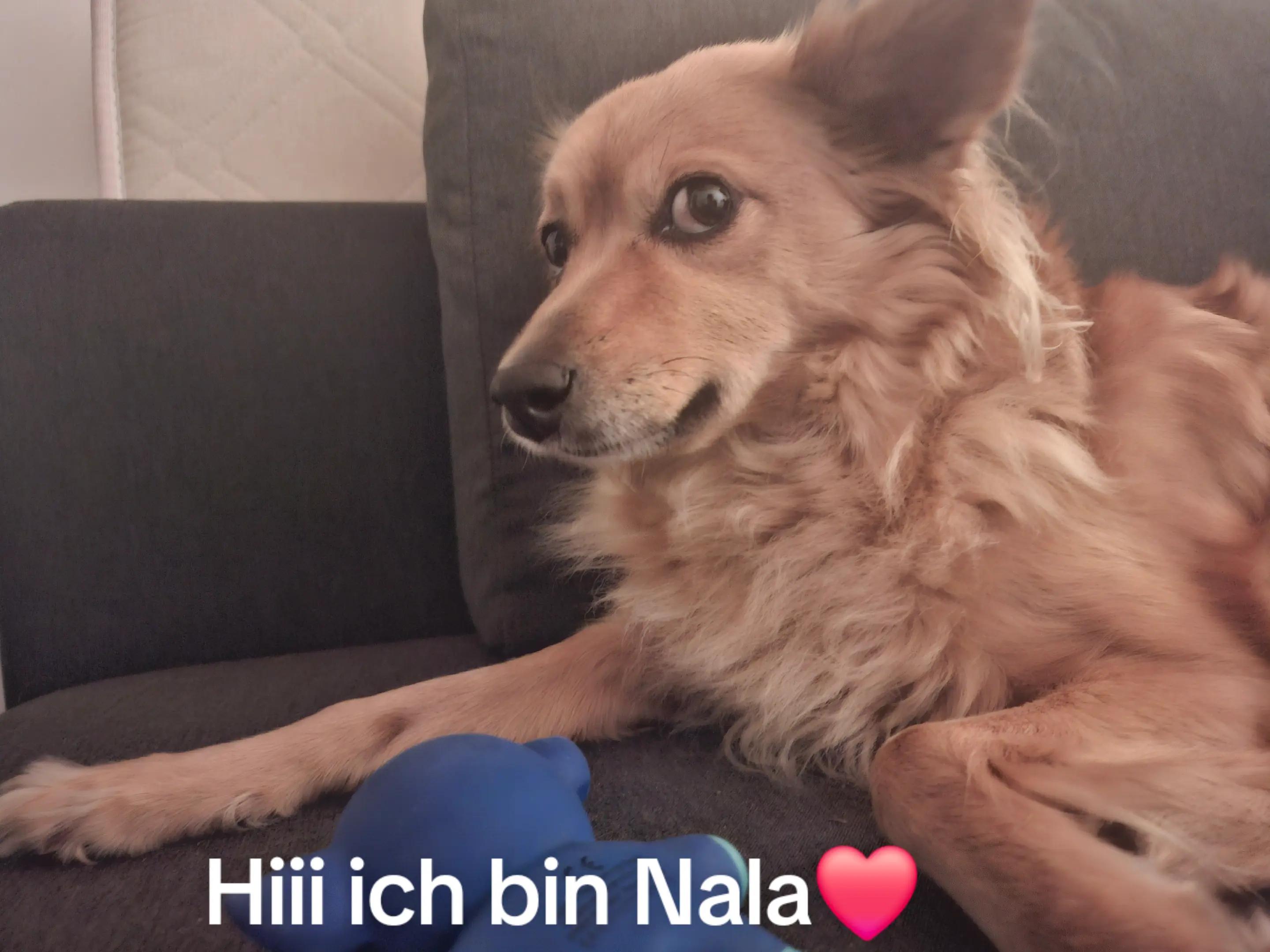 @Anja