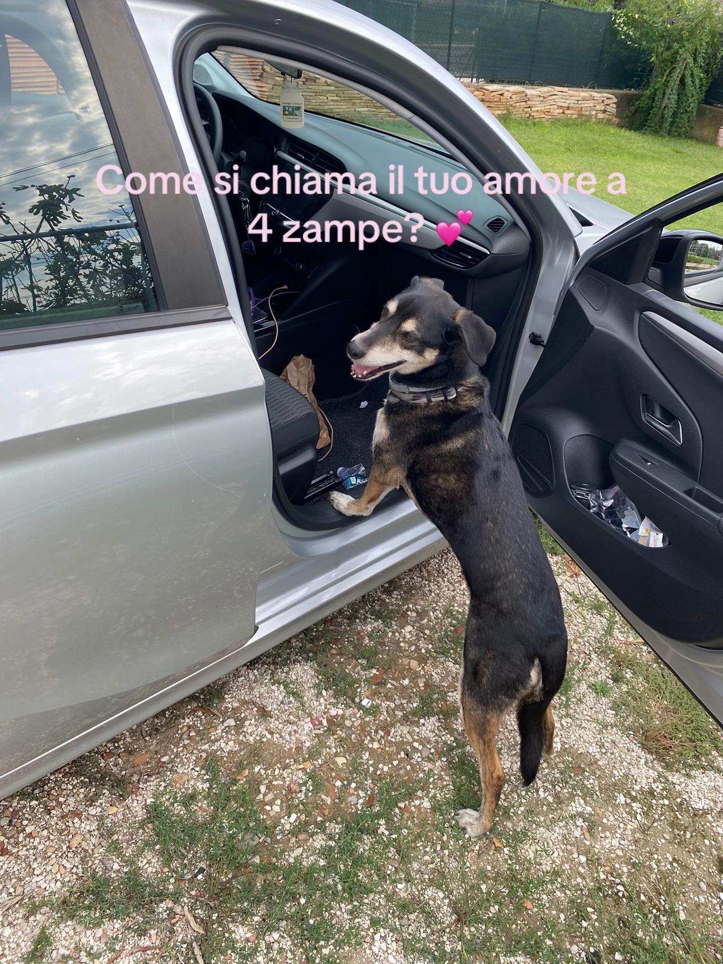 @Lili Crush