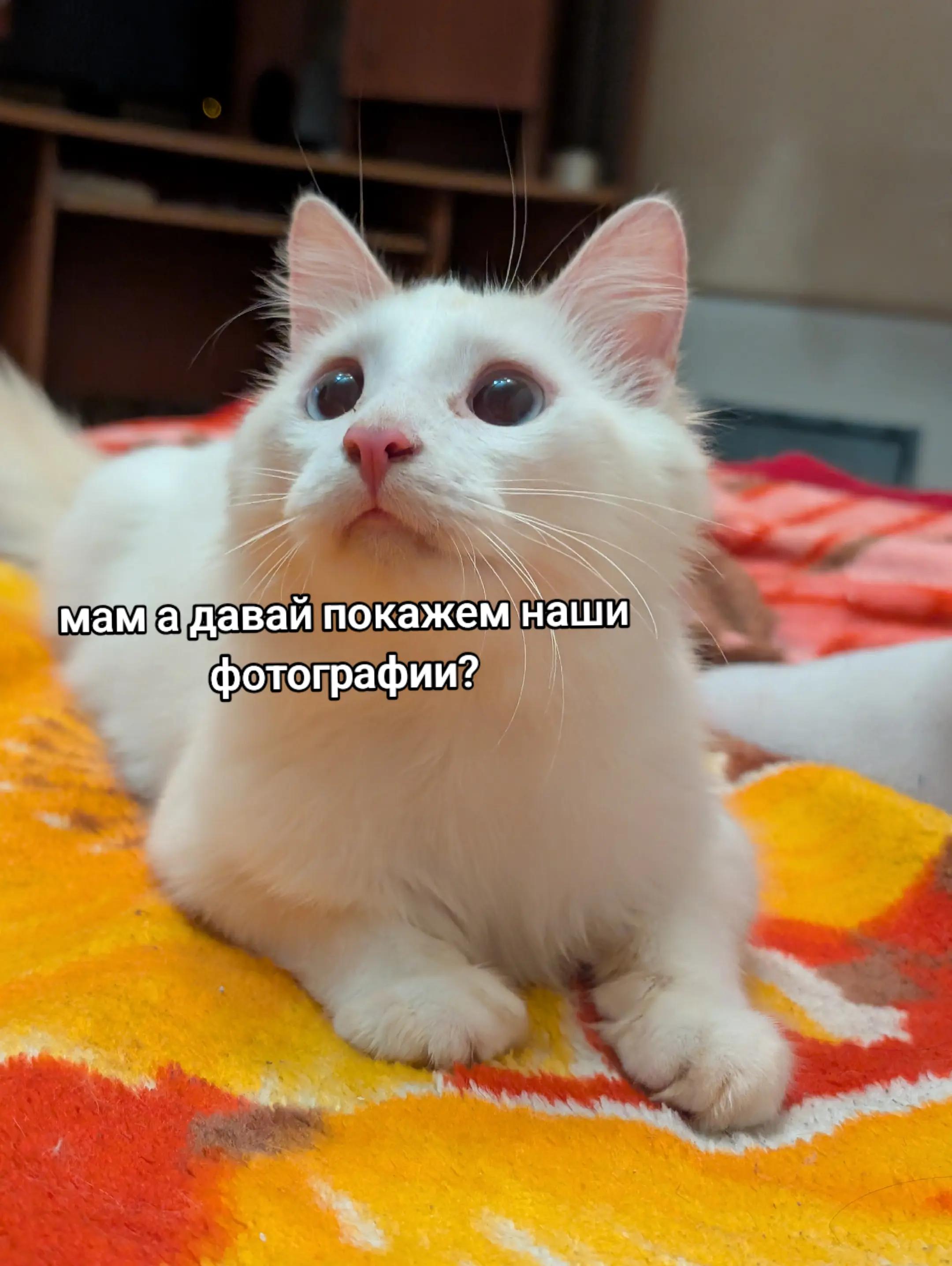 @да ну нахуй