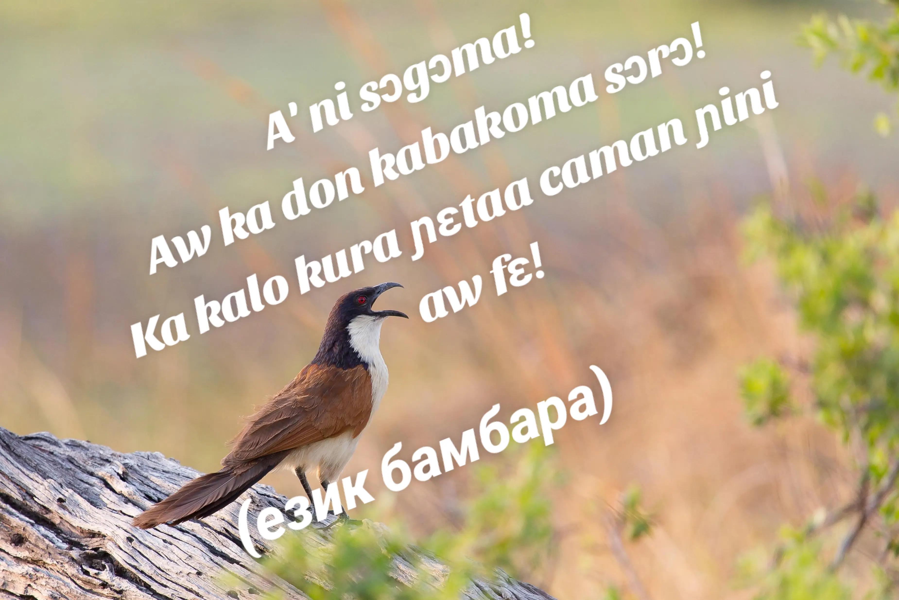 @ИЦКО