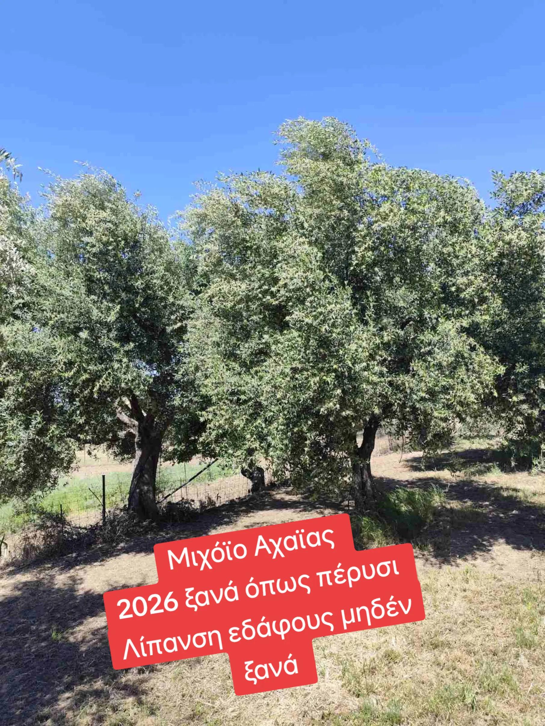 @&Alpha;&gamma;&alpha;&lambda;&iota;&alpha;&nu;ό&sigmaf; &Iota;&omega;ά&nu;&nu;&eta;&sigmaf; &Gamma;&epsilon;&omega;&pi;ό&nu;&omicron;&sigmaf;