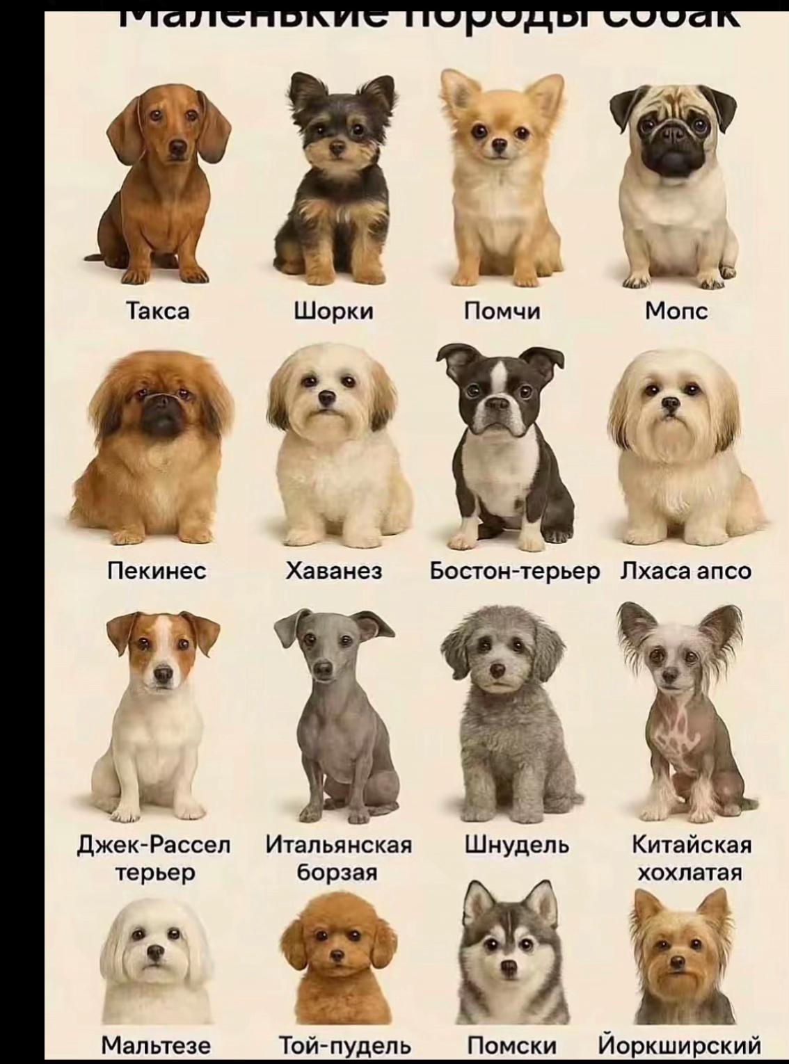 @Soldatova Sofaaaaa🌸🎀🌺