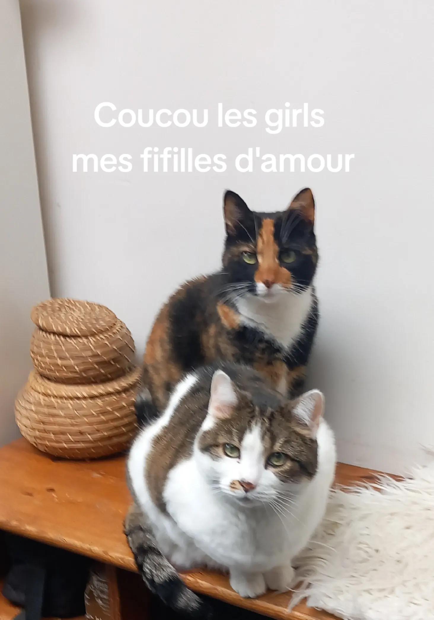 @Nath Coucou les girls