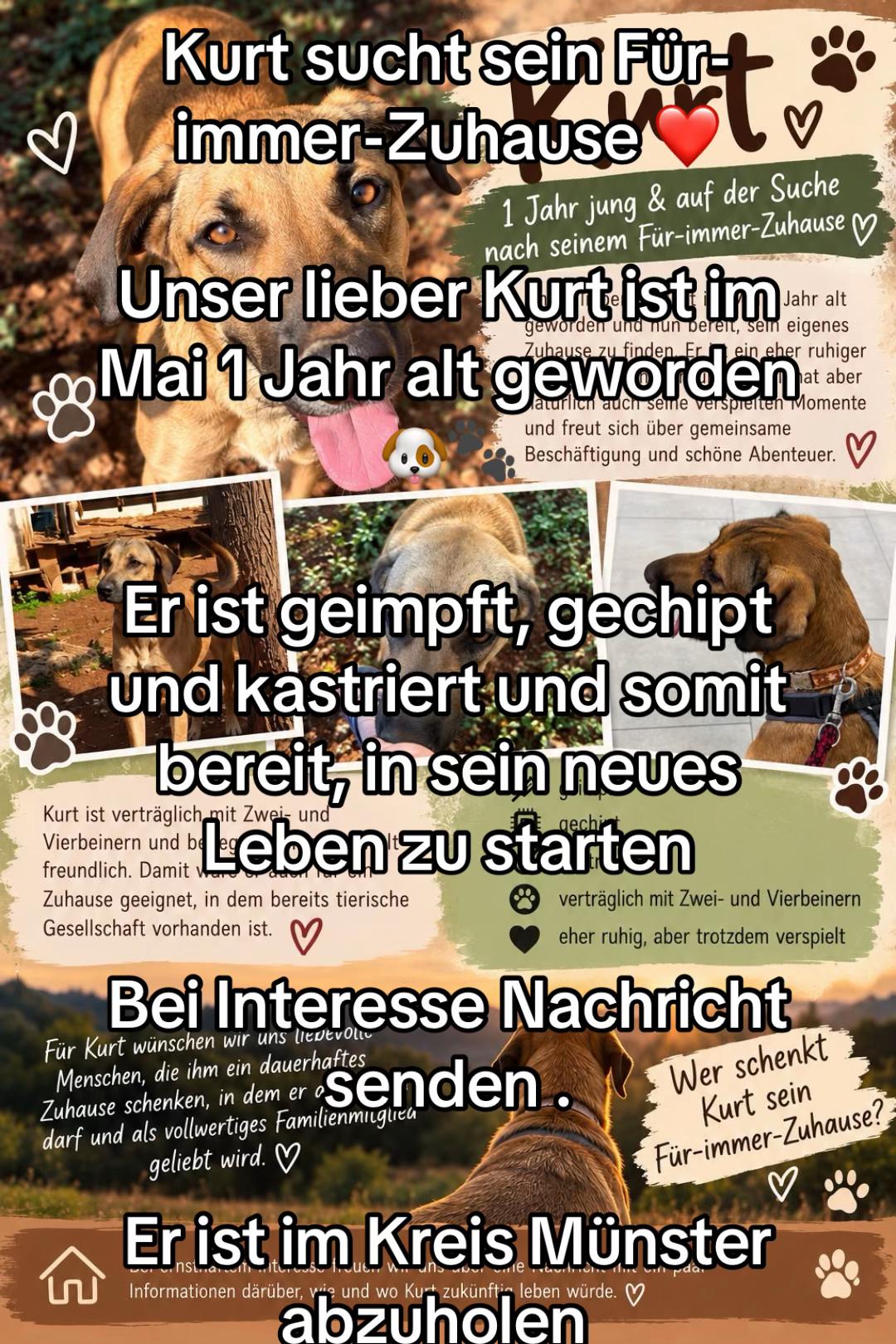 @vesna
