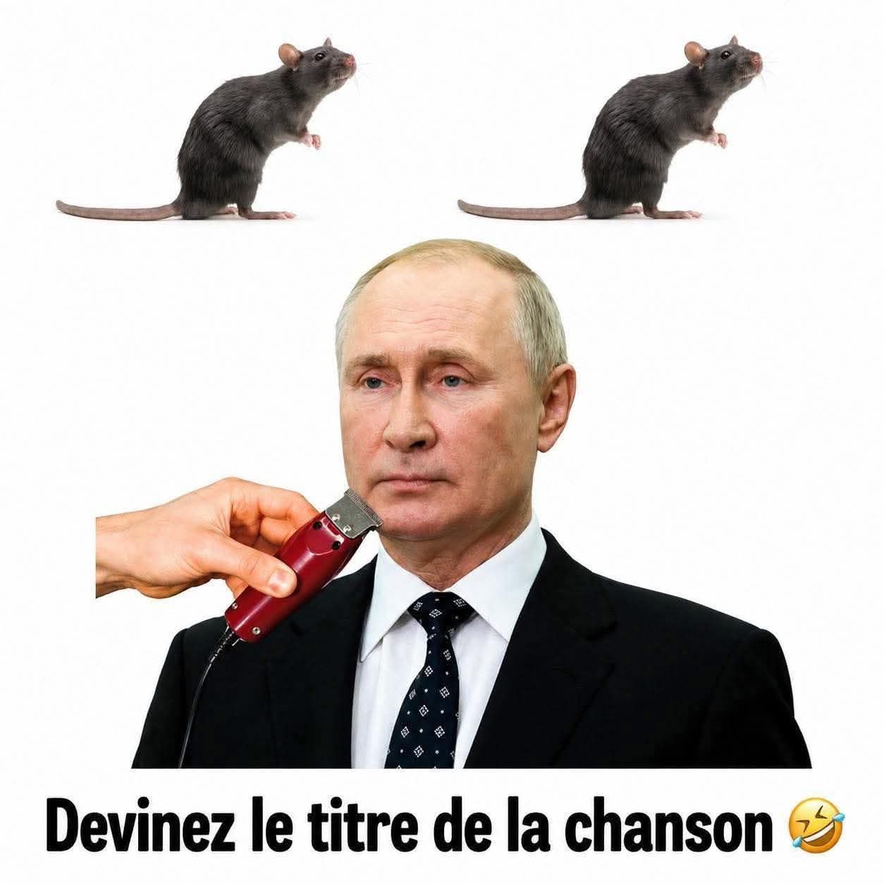 @MonsieurMeme