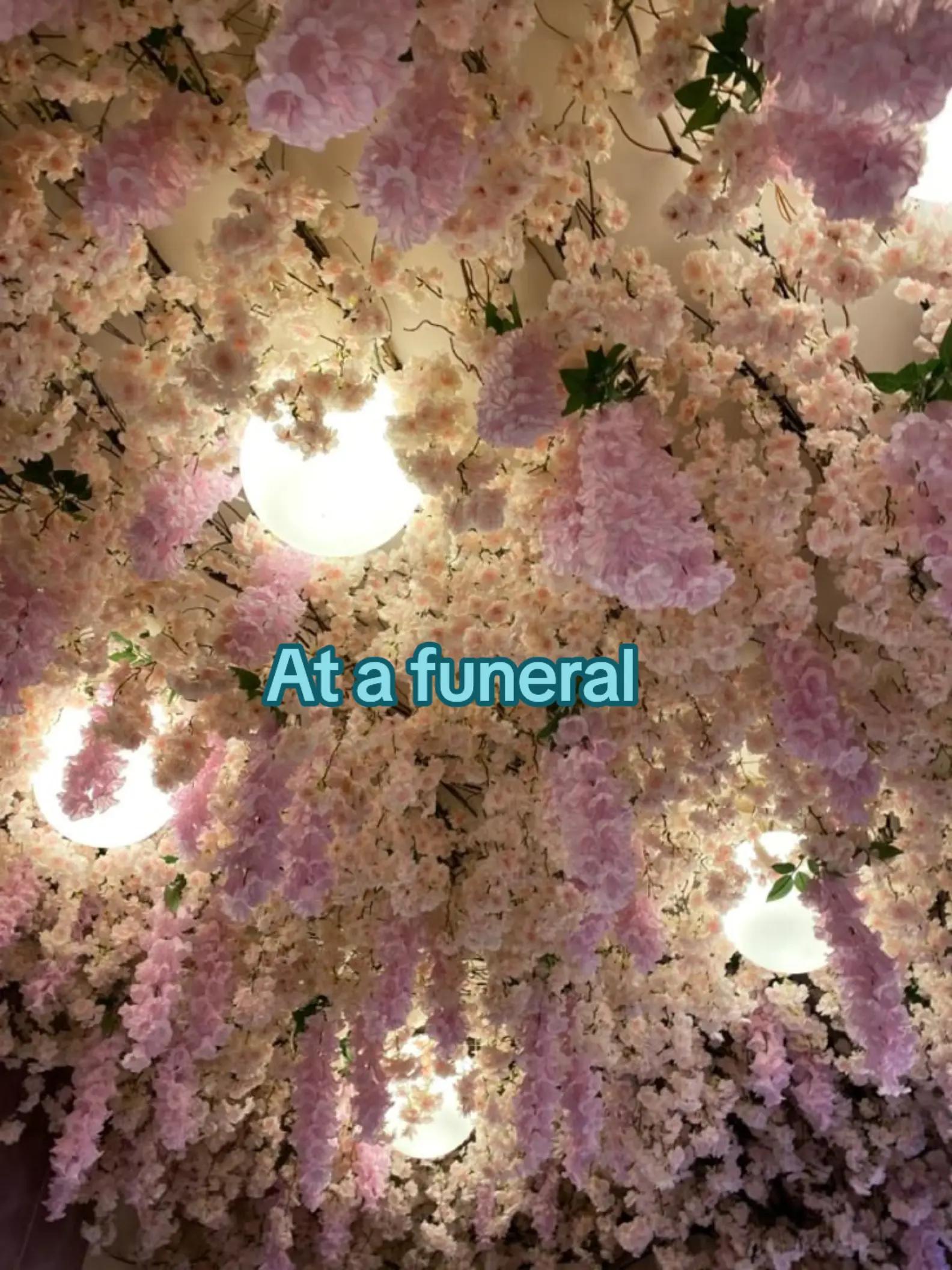 @๐ โฆป Aฦิาฝษณα / ๐๐ช๐ท๐ฒ โฆป ๐