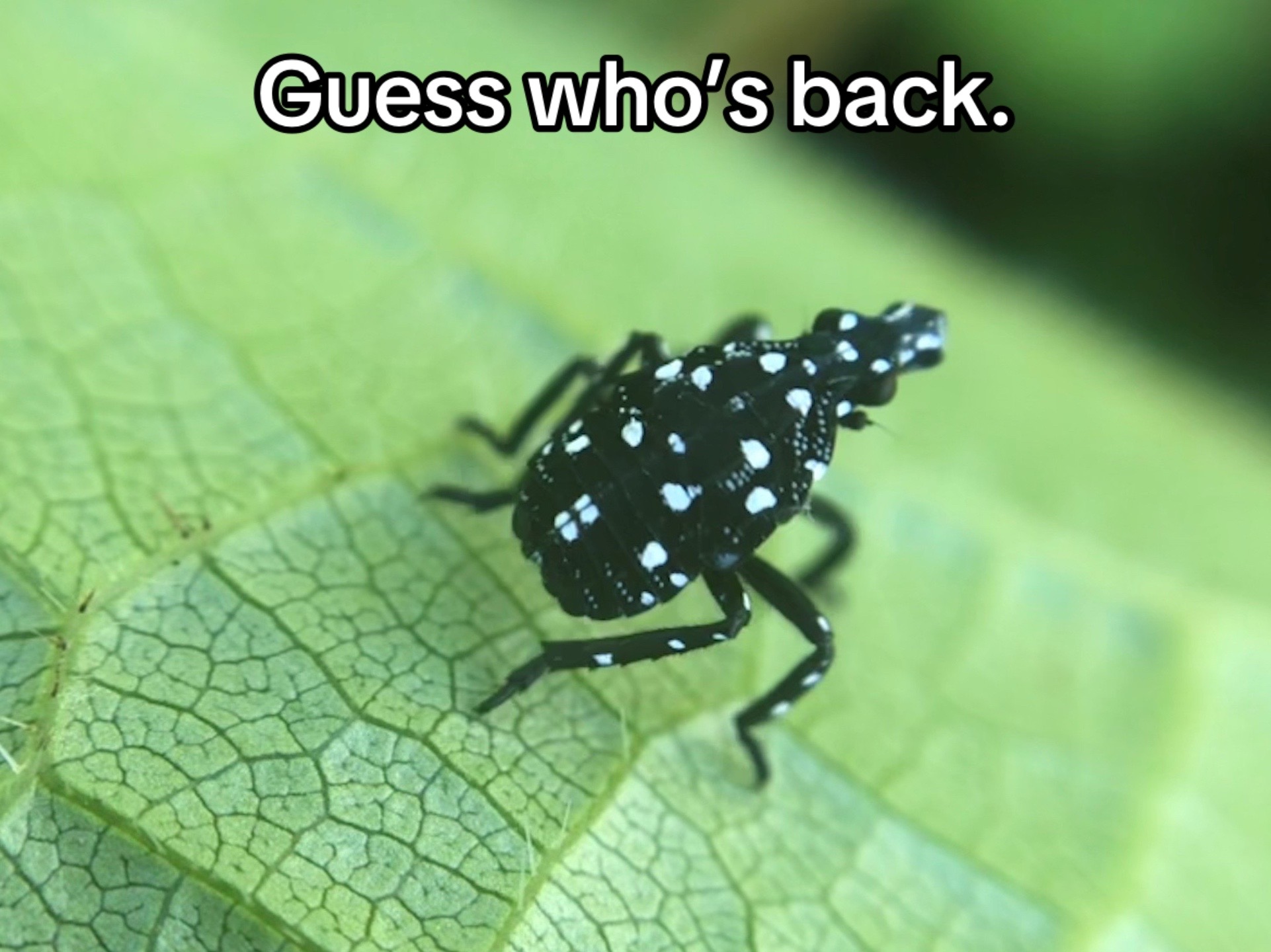 @️nonameboiii
