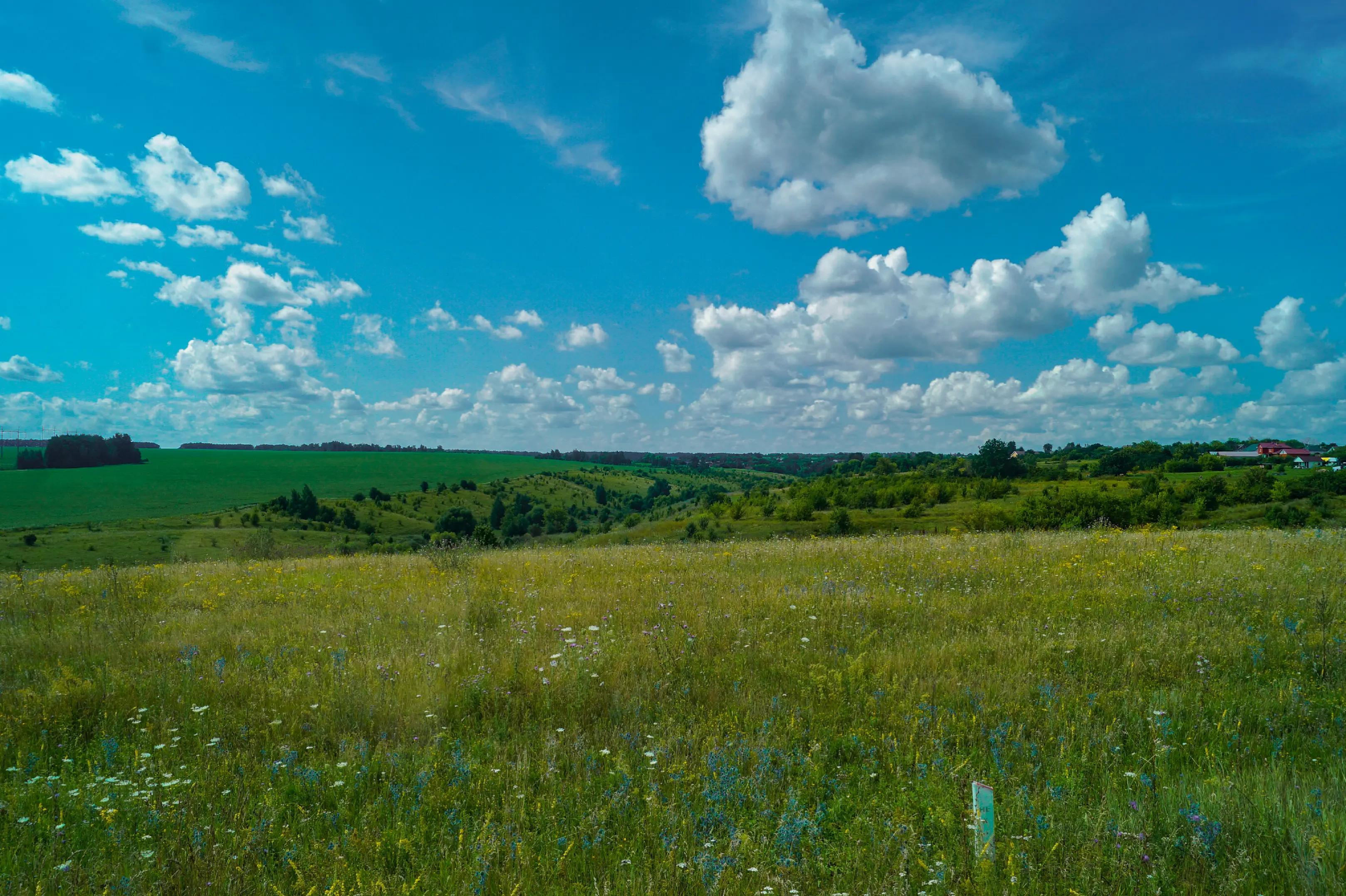 @Злой карась