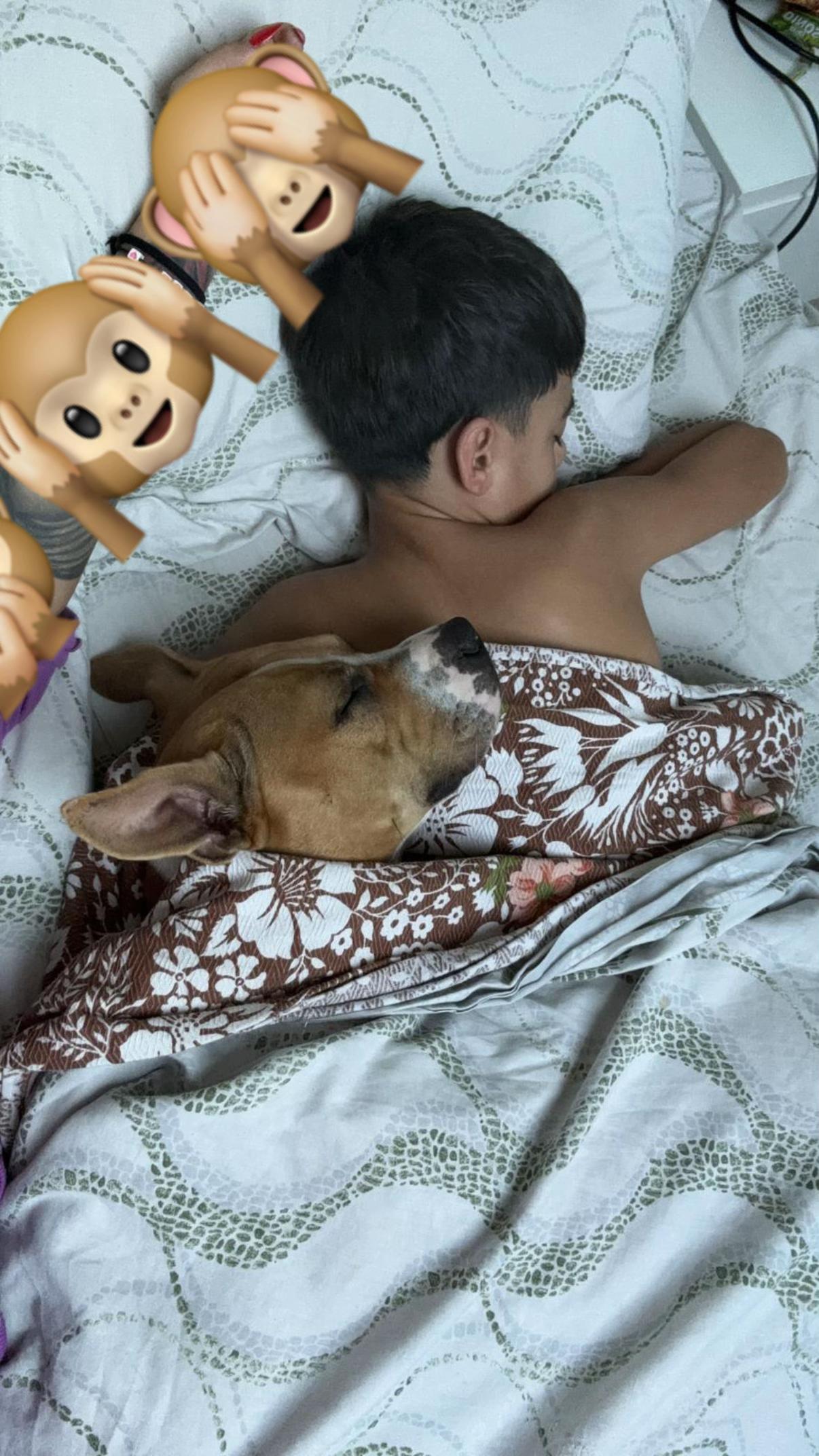 @Kamikazze__777