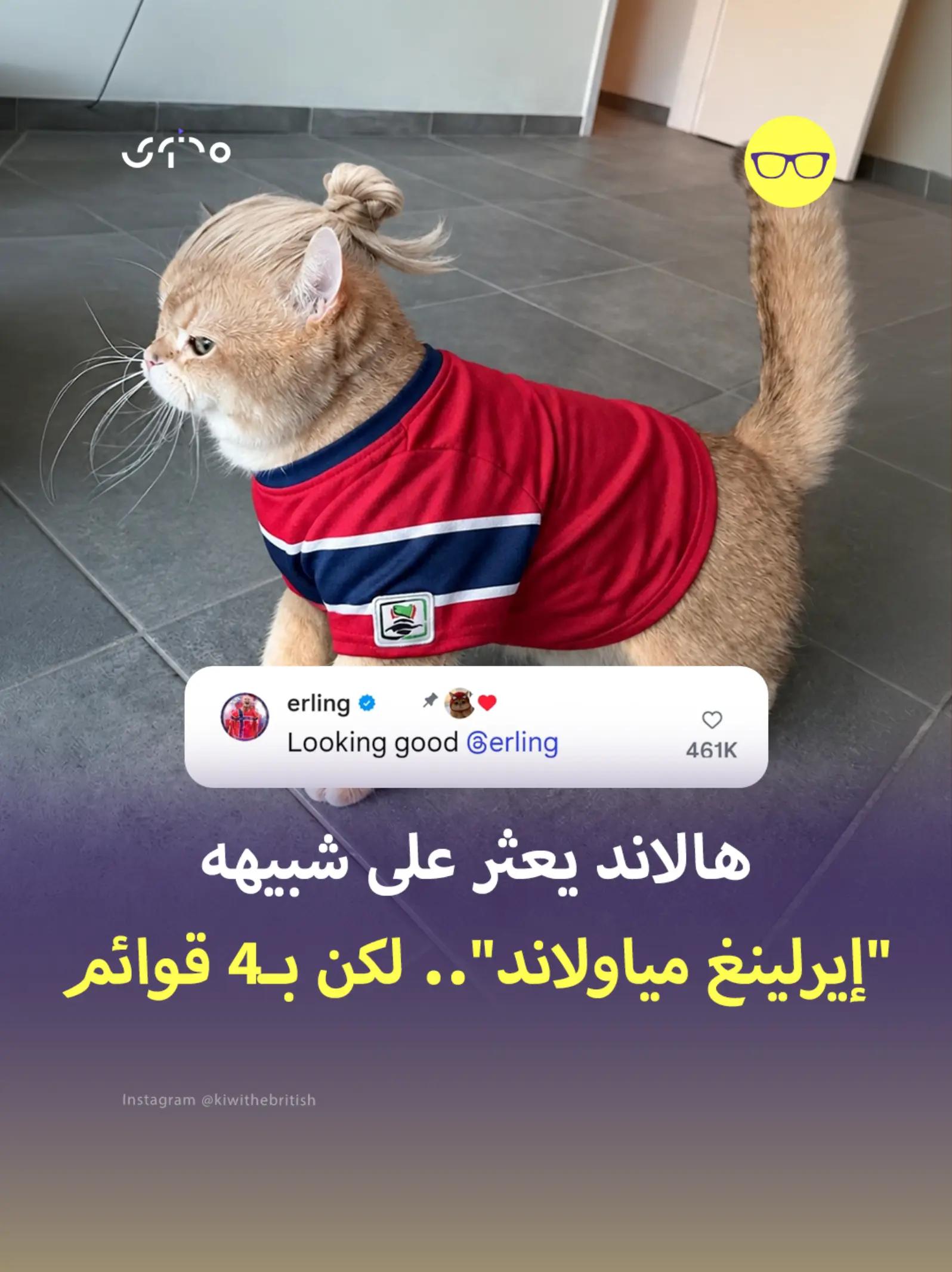 @Mohtawa - محتوى