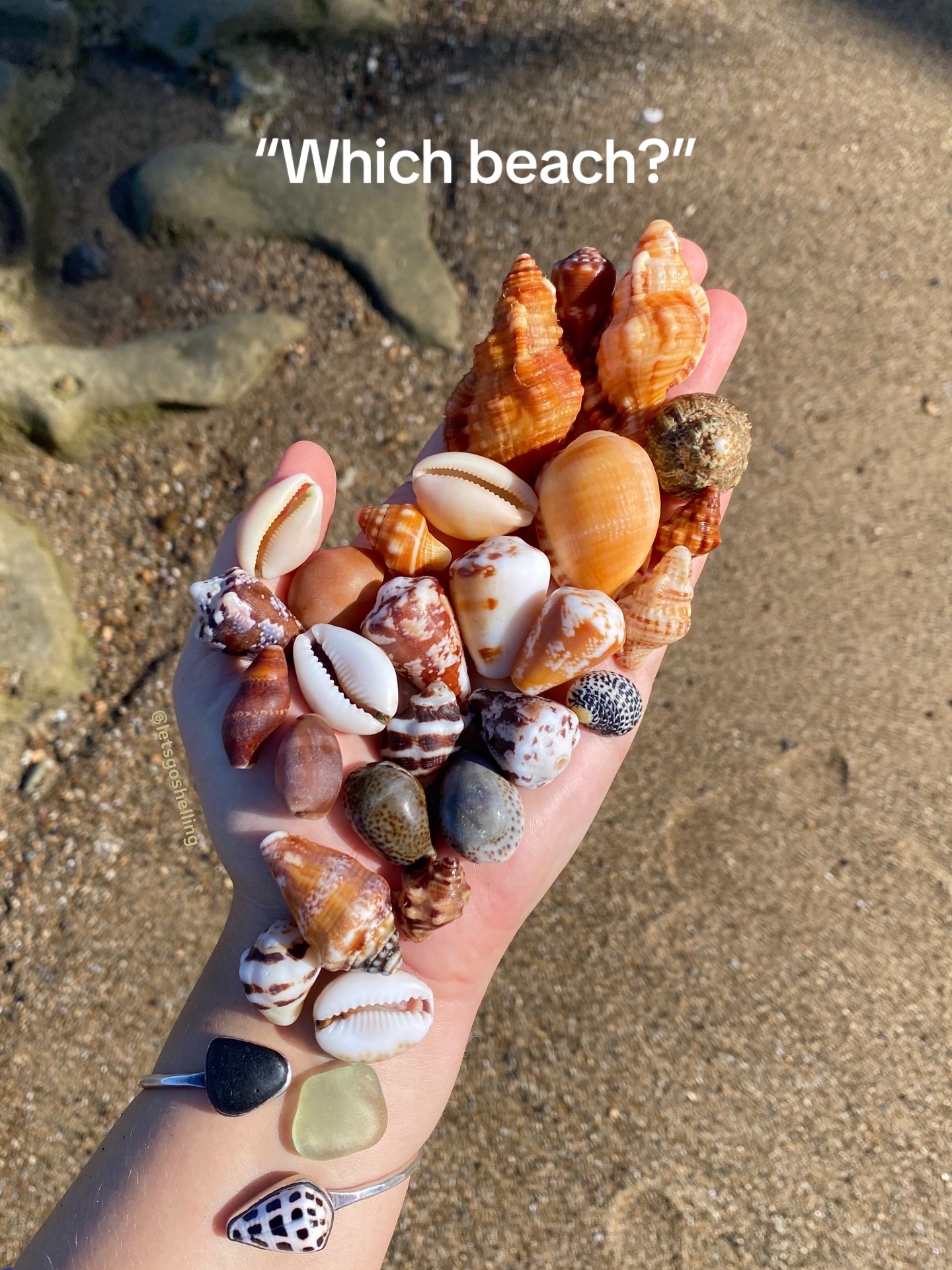 @🐚Jojo🌴