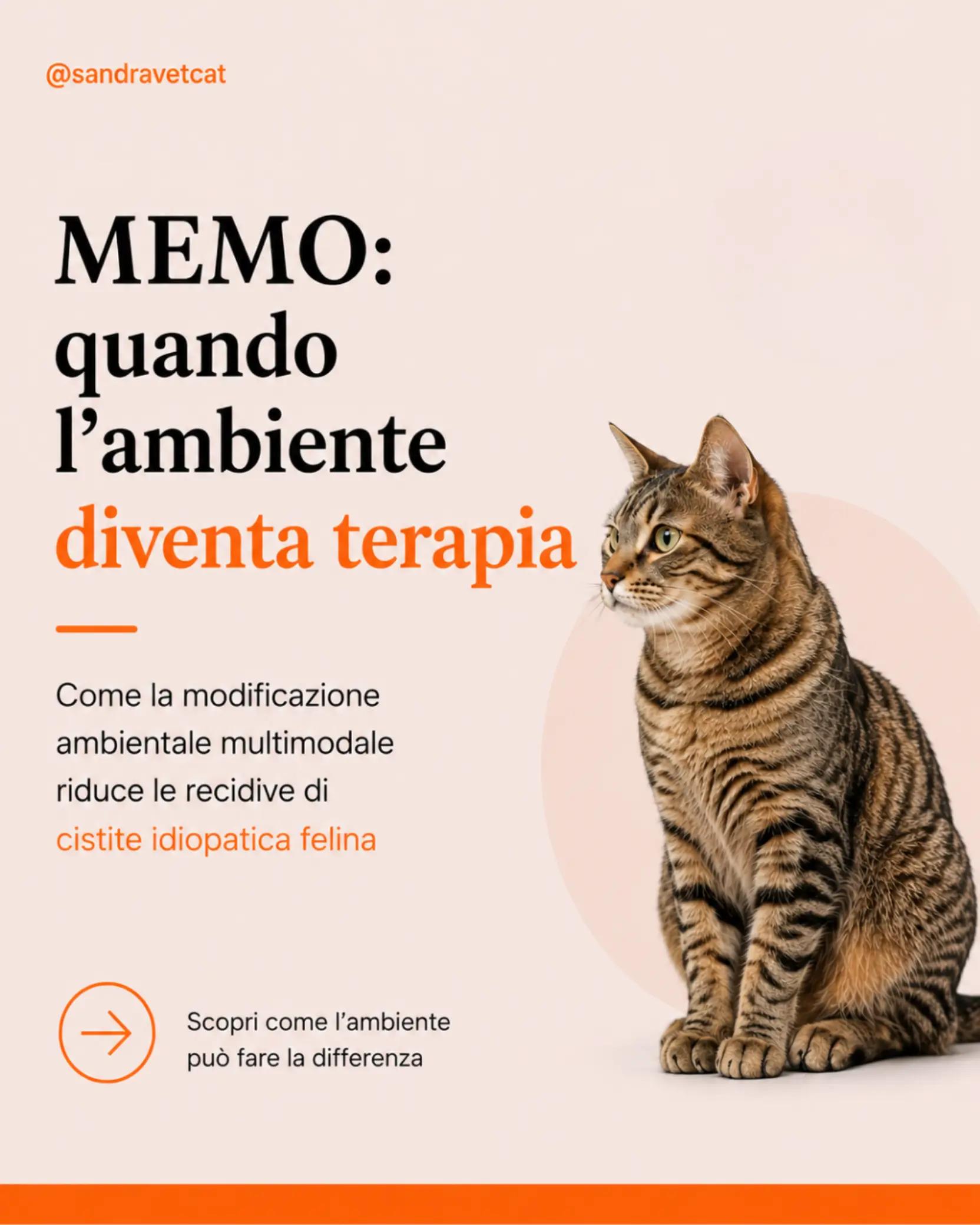 @Dr.ssa Sandra Viana