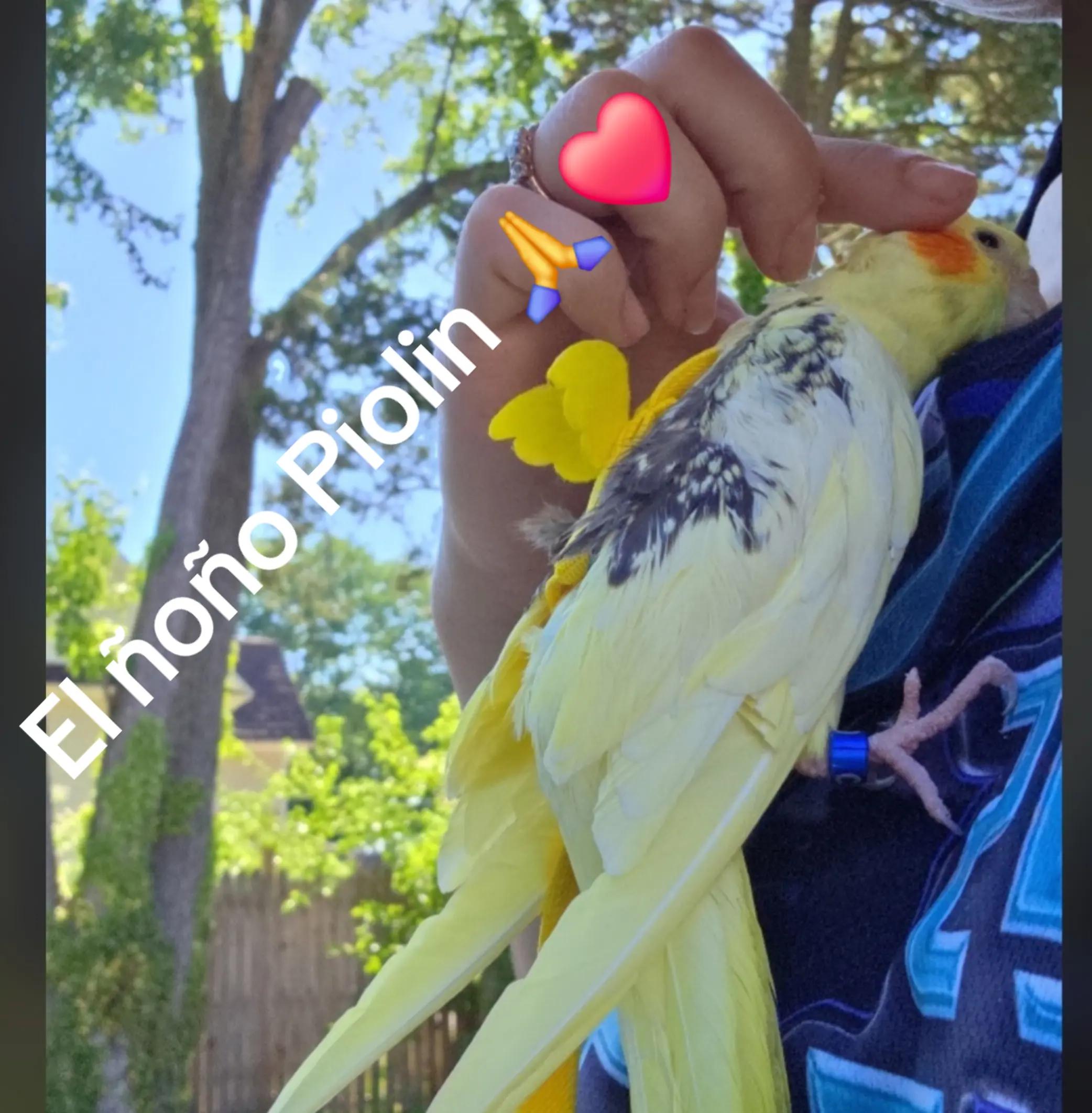 @🤍✝️🇵🇷Tammy🇵🇷✝️🤍