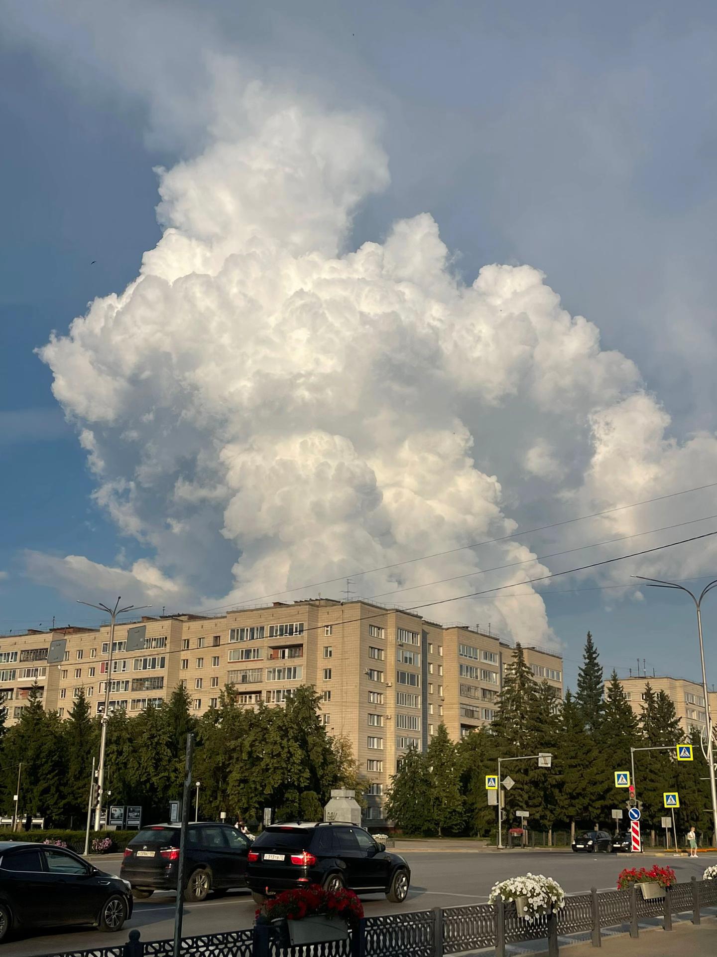 @лиана линчик