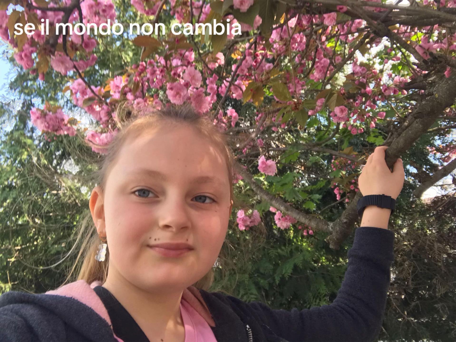 @account.spaammmm3