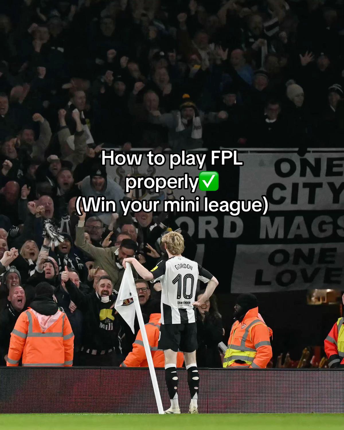 @fpltips.1