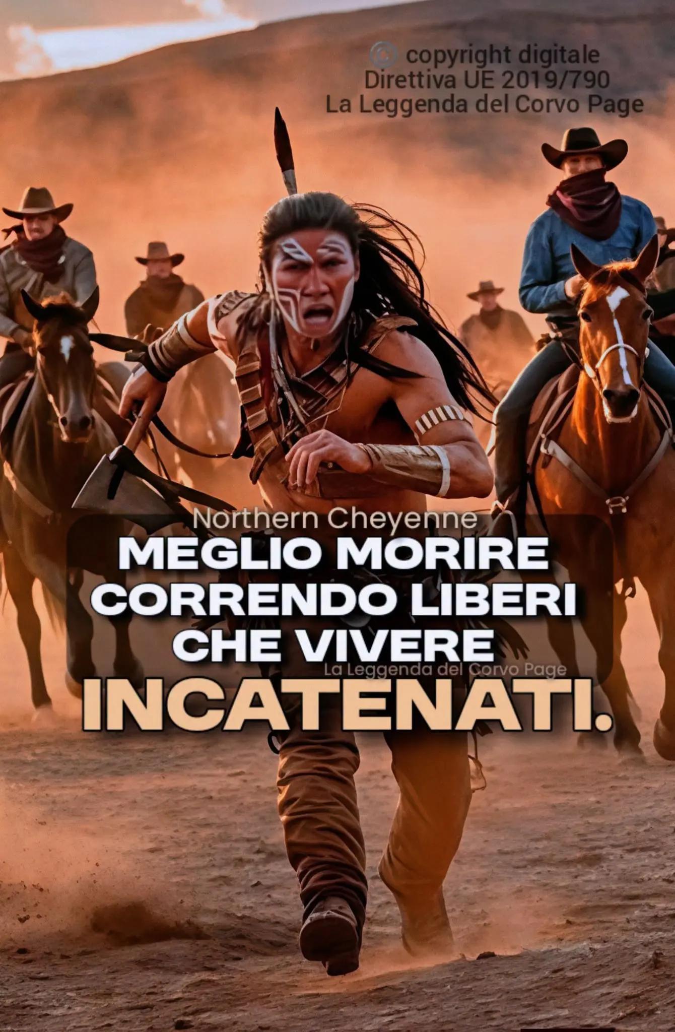 @carminebarbaria