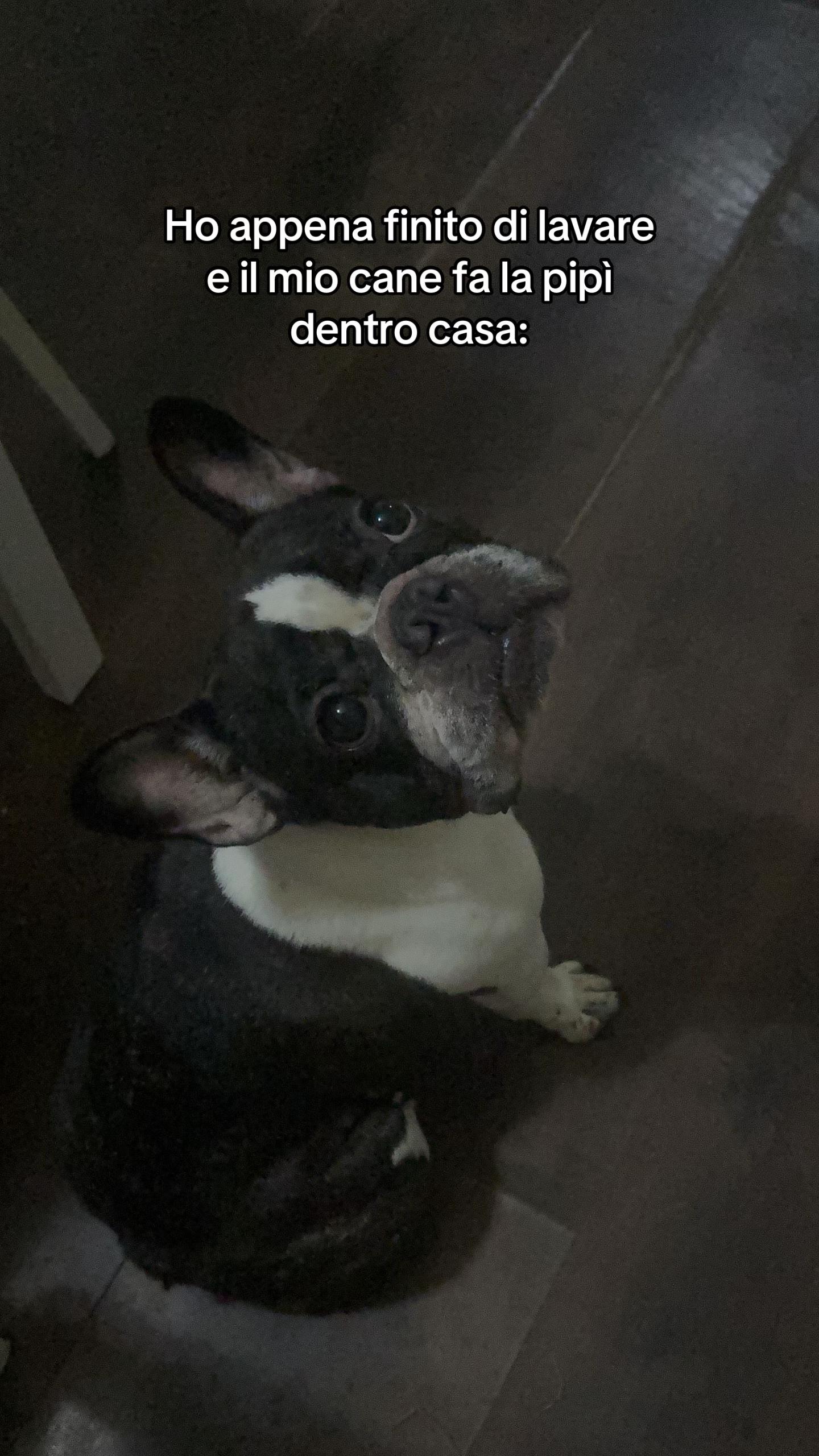 @alessiagrassii_