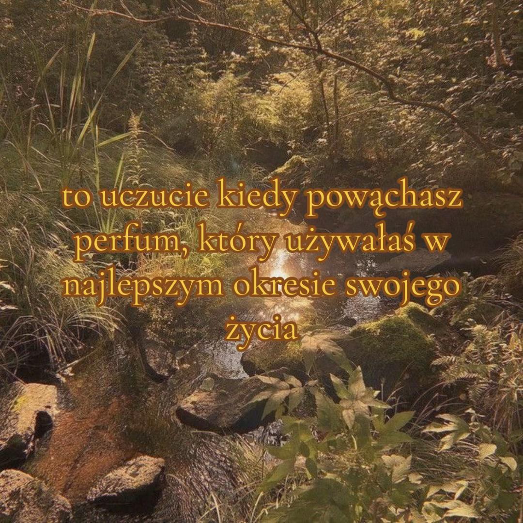 @weronika
