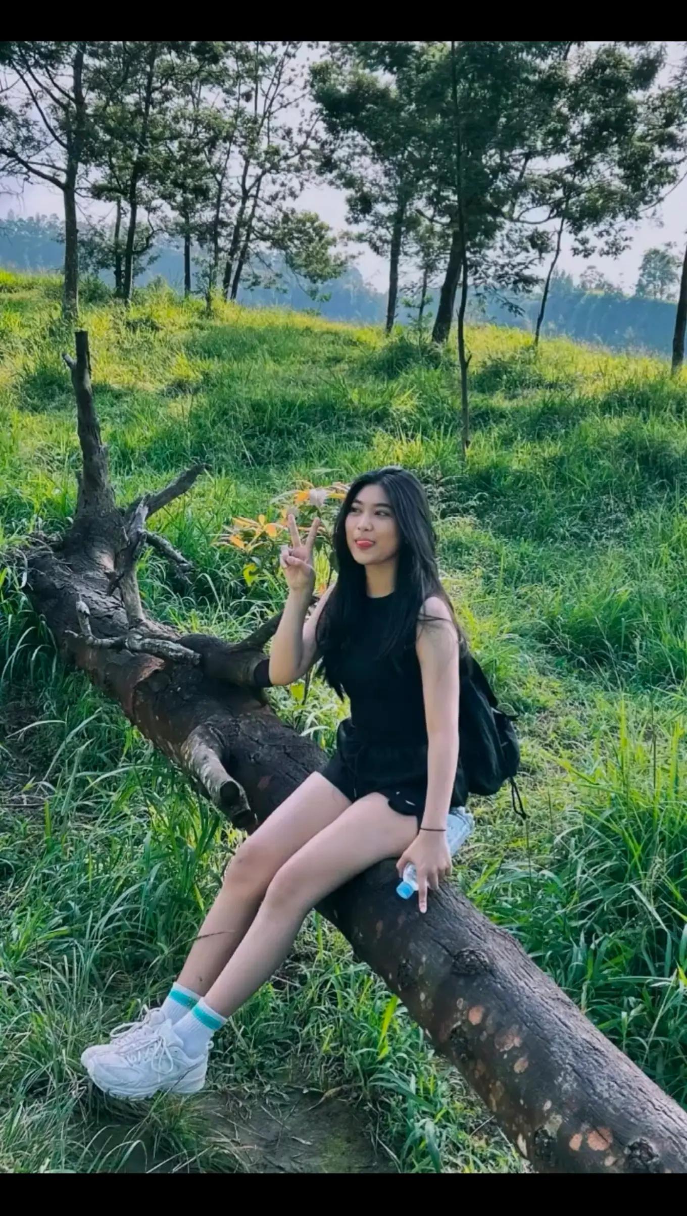 @alamgrup
