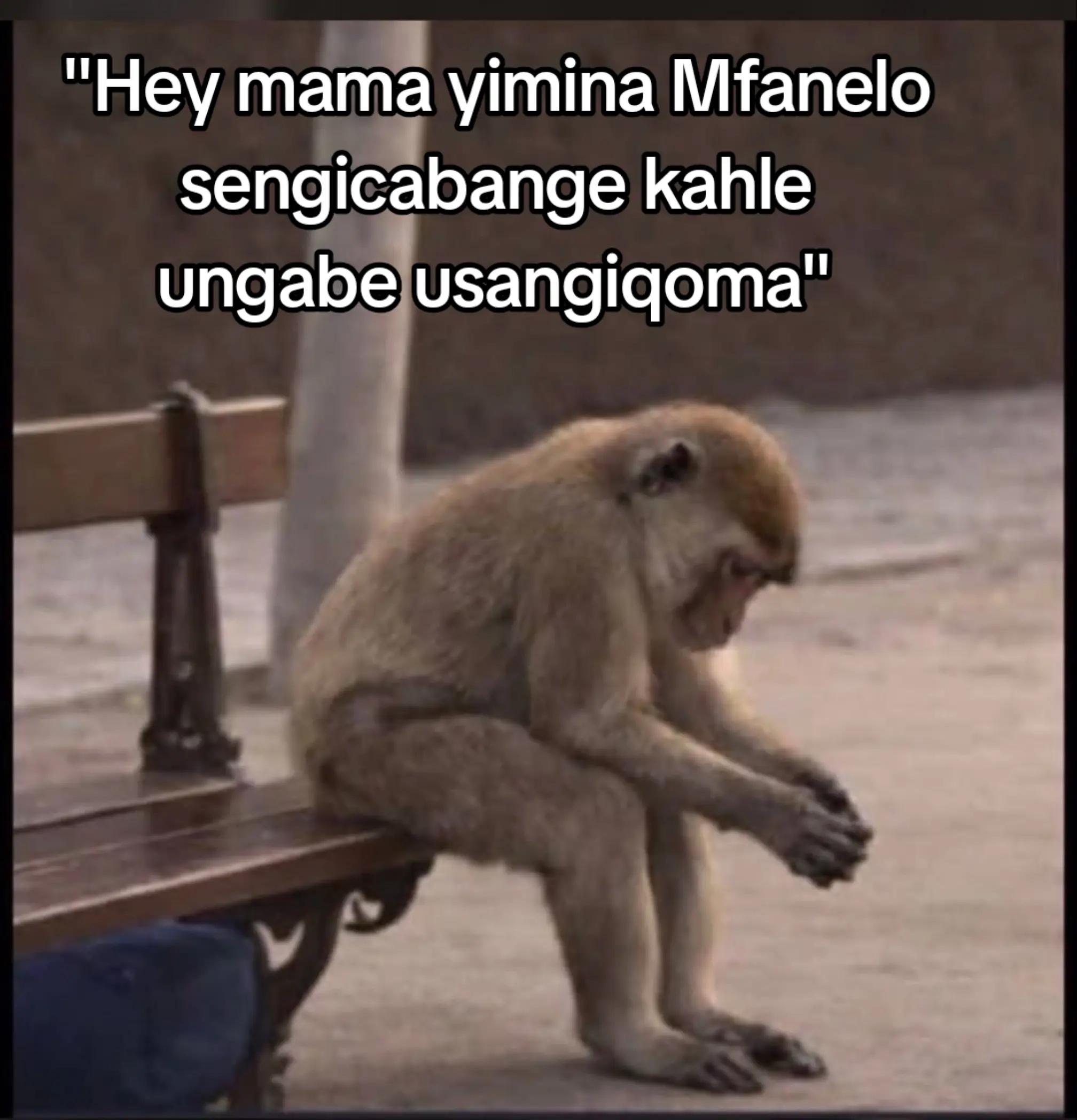 @Mfanelo