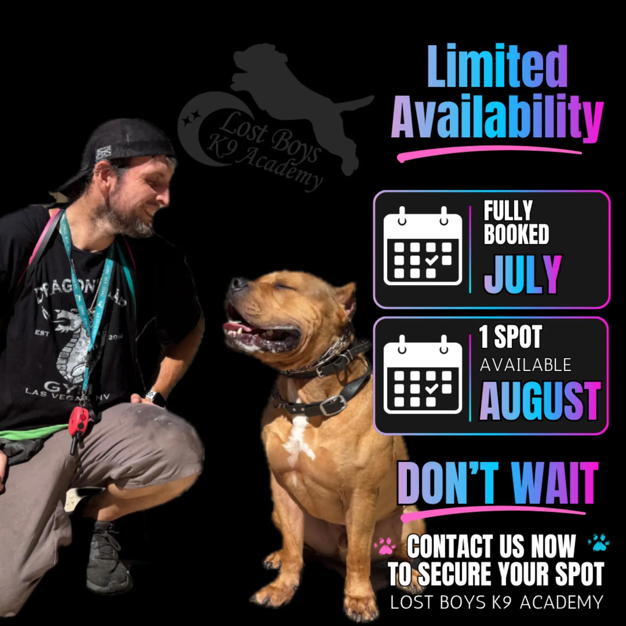 @Lost Boys K9 Academy