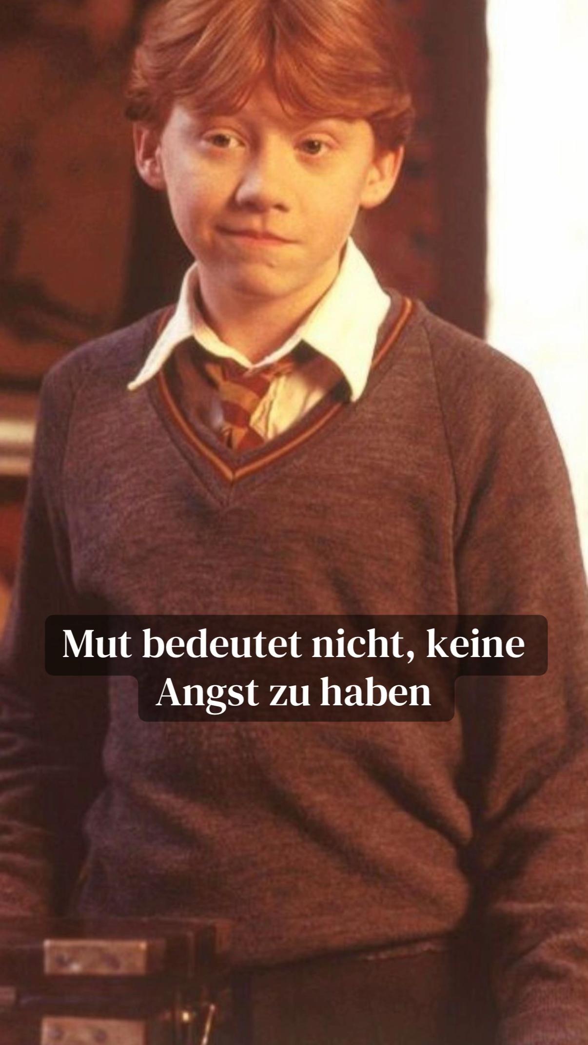 @Muggelgefl&uuml;ster