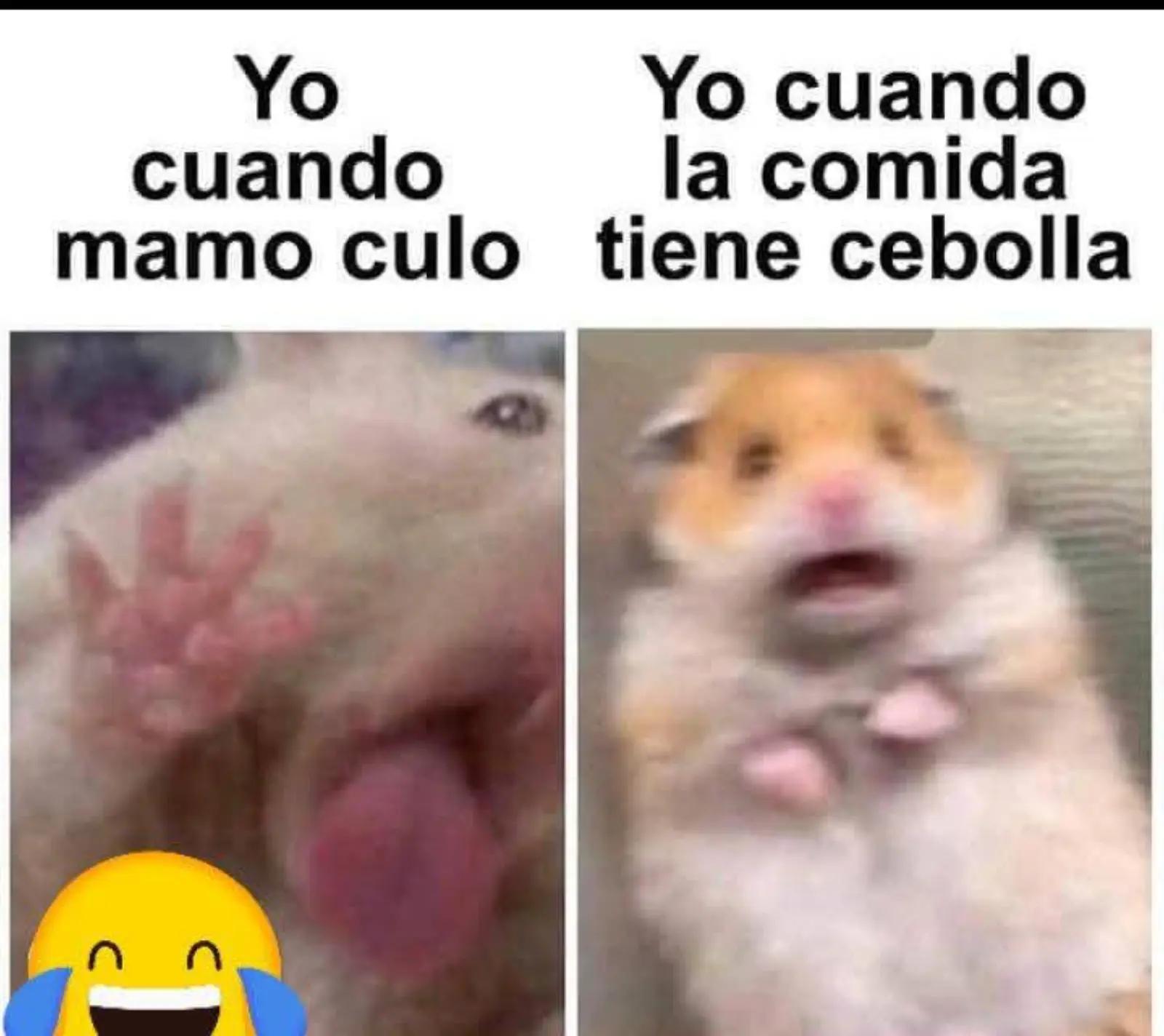 @payasito ☘️🥷🇱🇷🇬🇹