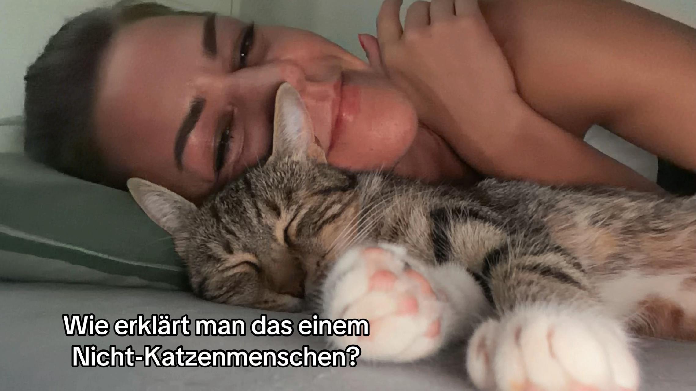 @Oscar & die Katzenbande
